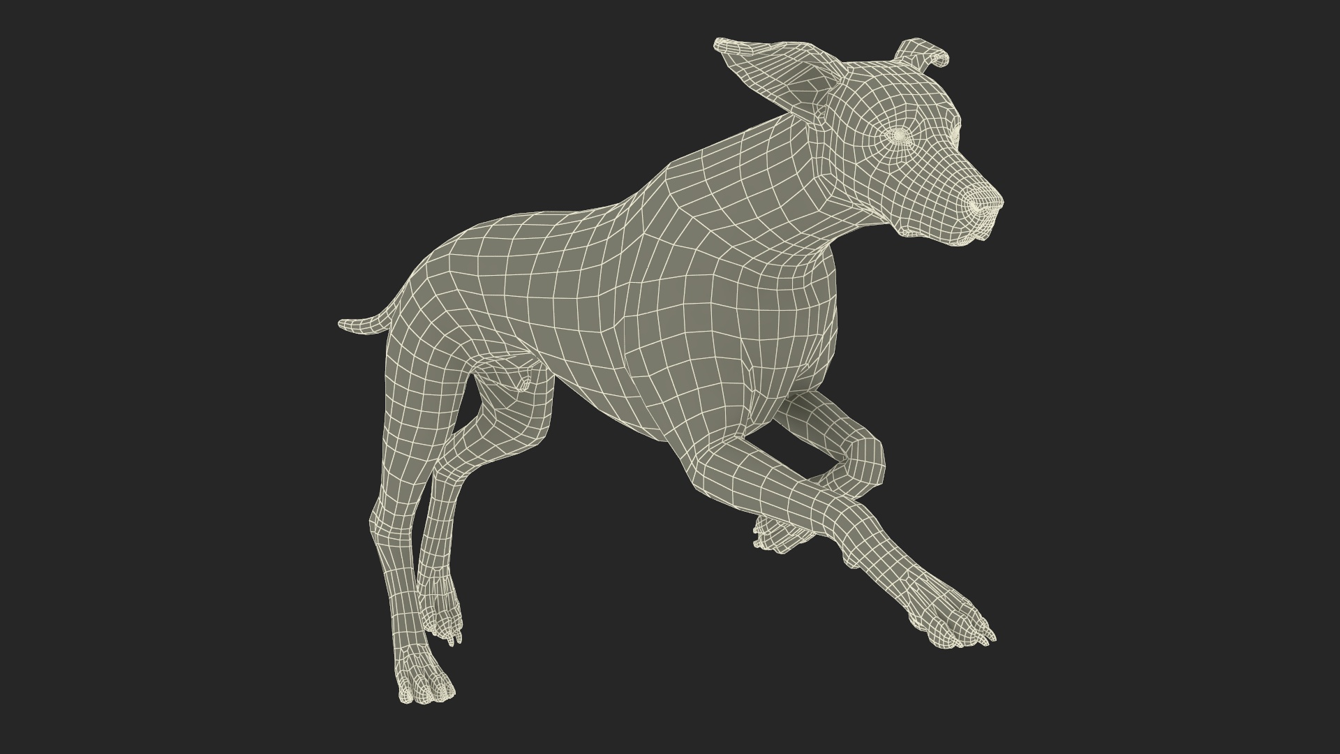 3D Running Dalmatian Dog