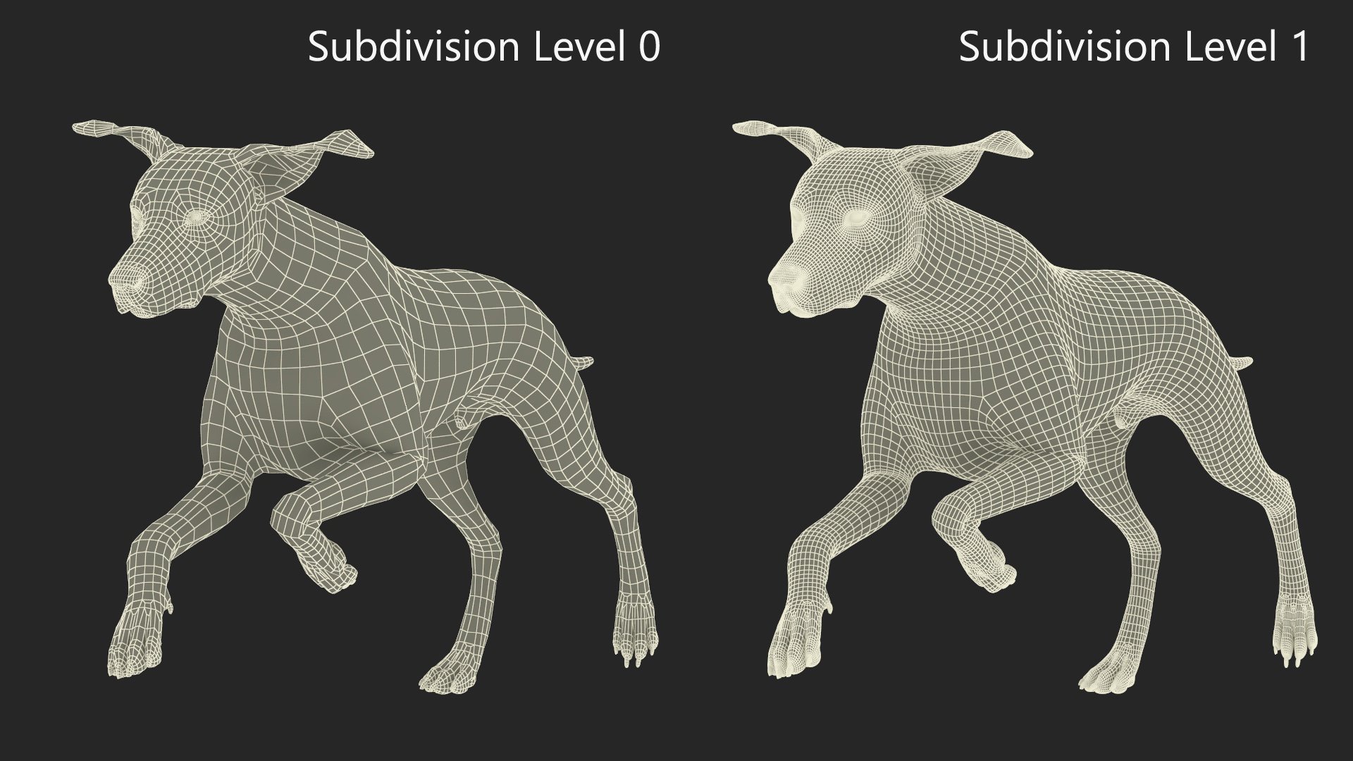 3D Running Dalmatian Dog