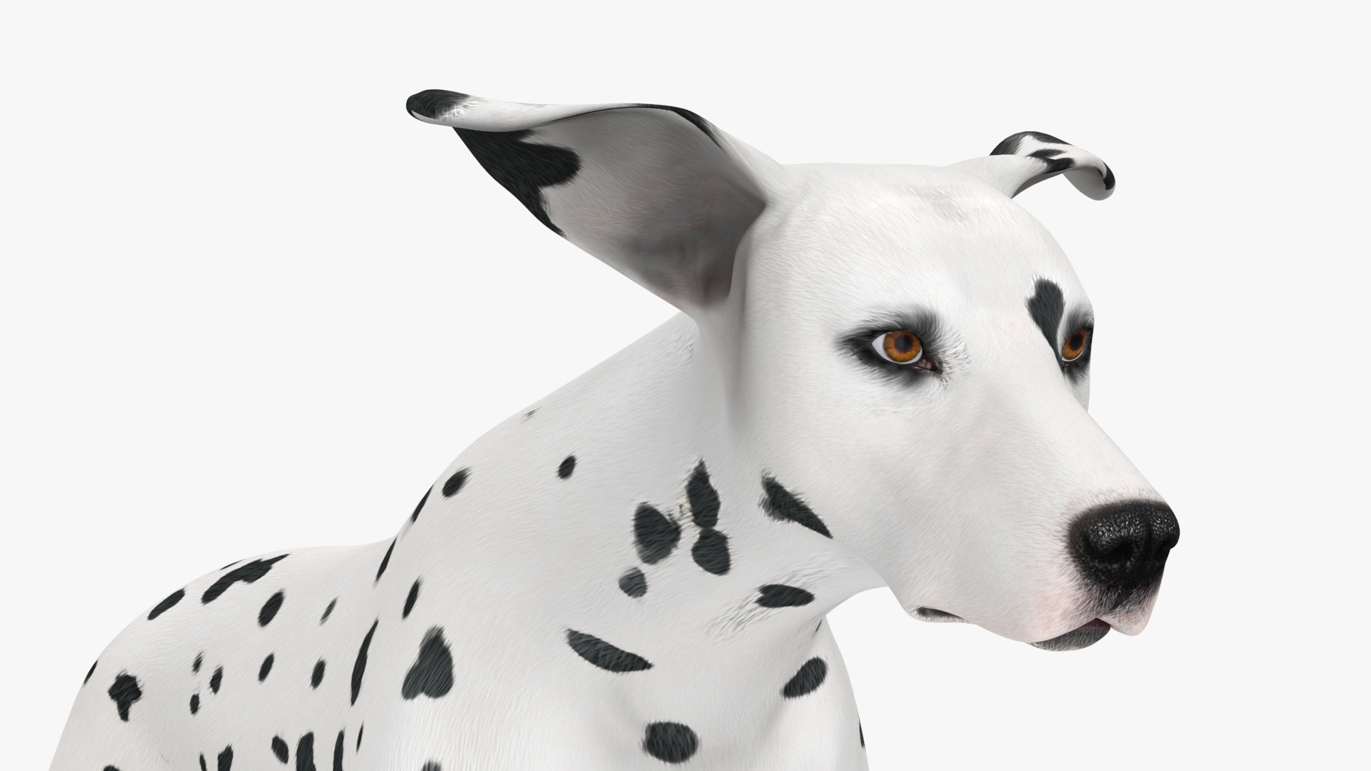 3D Running Dalmatian Dog
