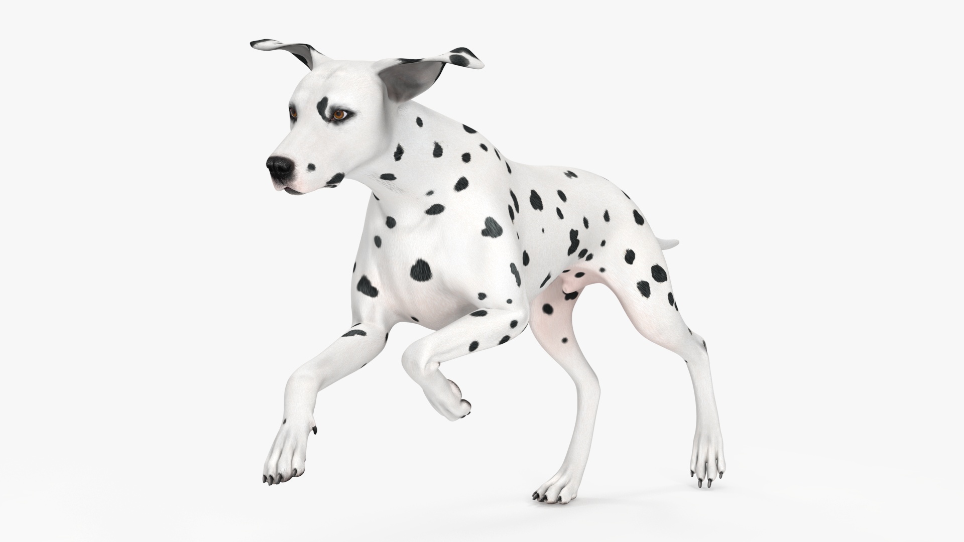 3D Running Dalmatian Dog