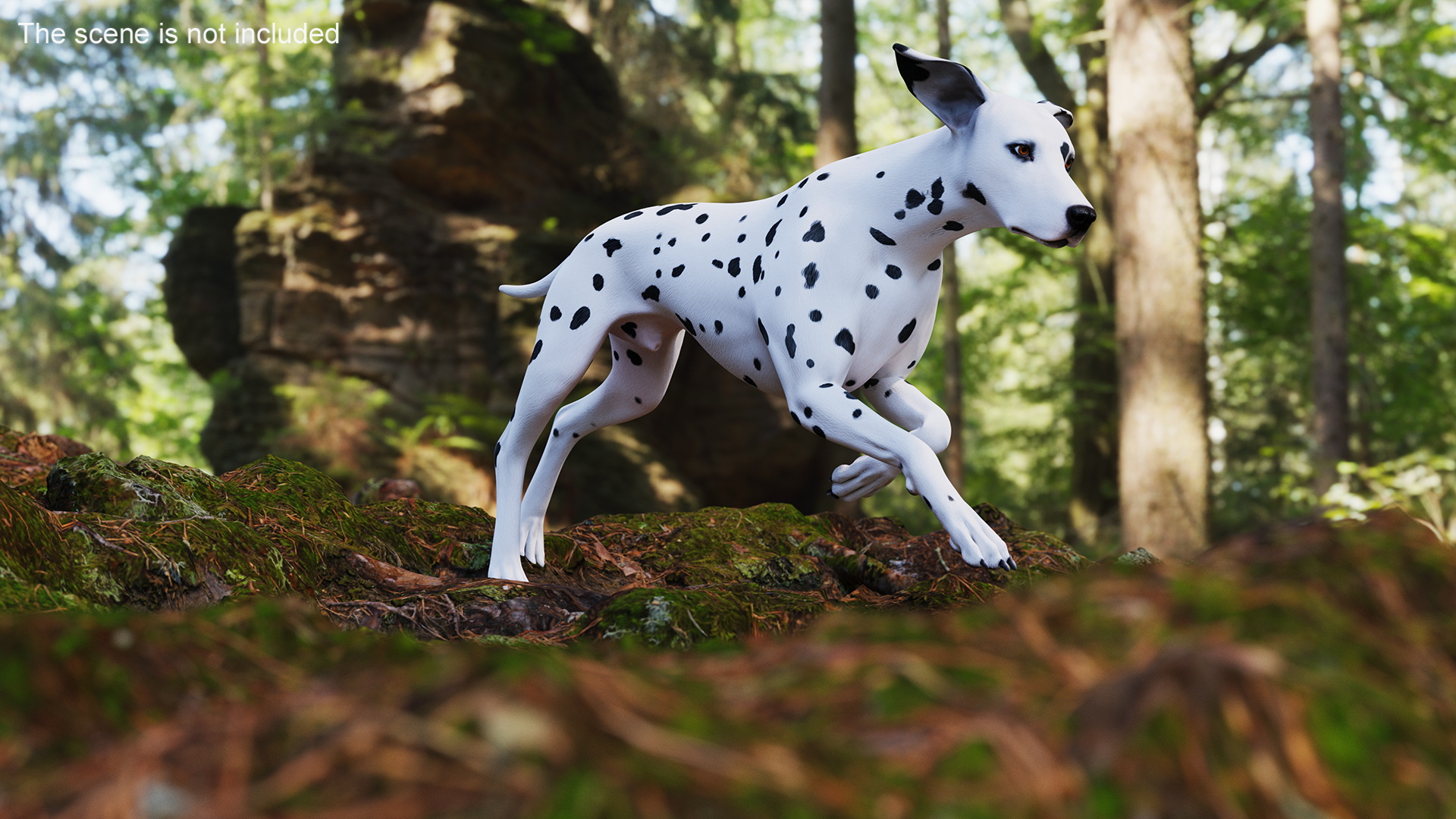 3D Running Dalmatian Dog