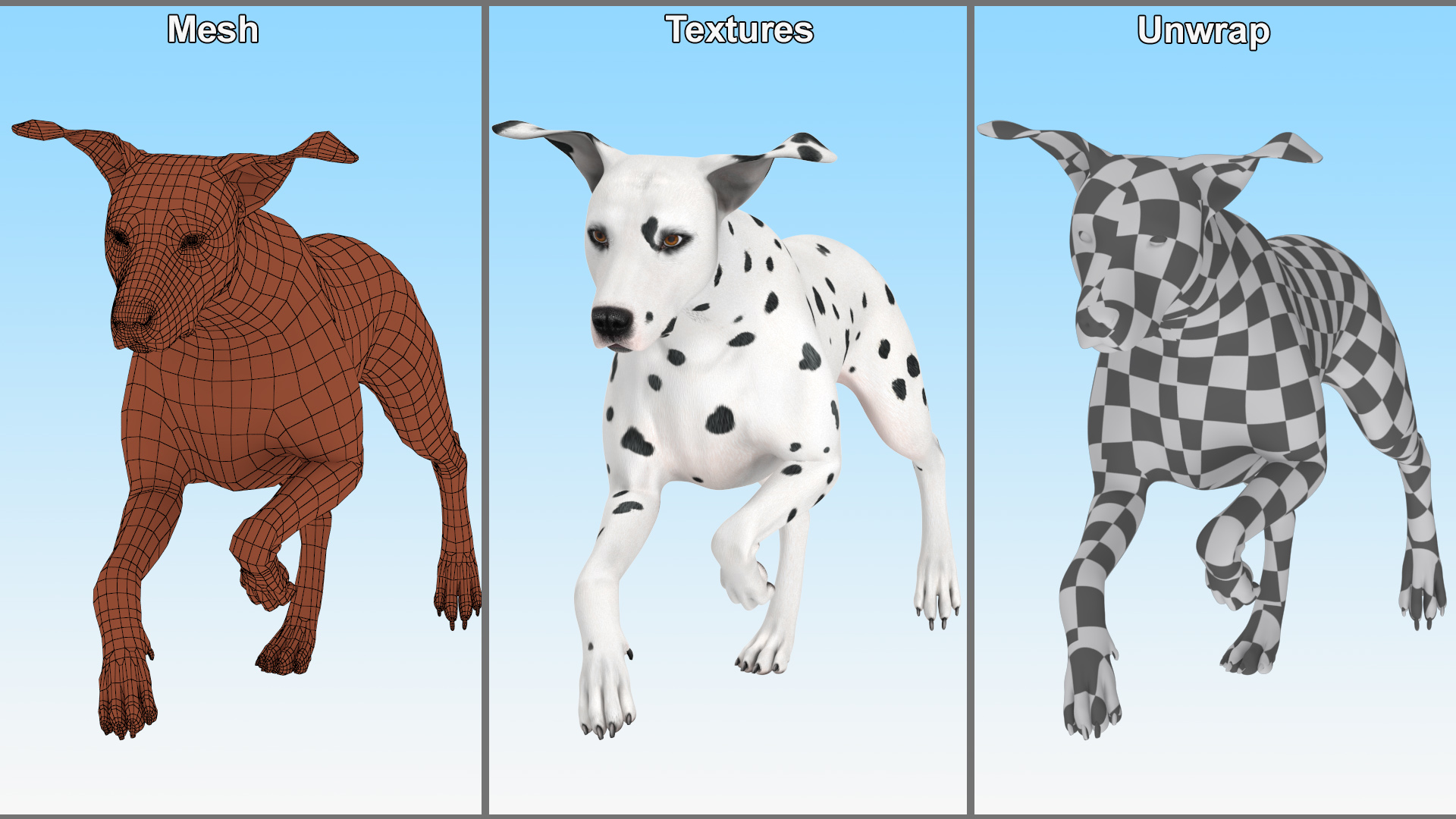 3D Running Dalmatian Dog