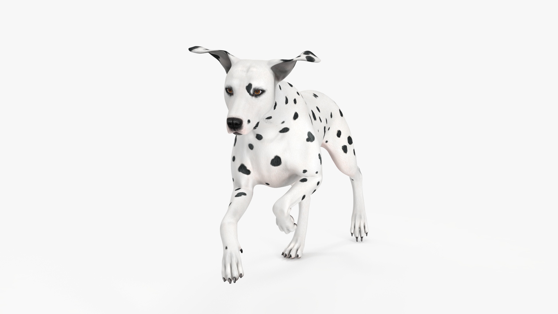 3D Running Dalmatian Dog