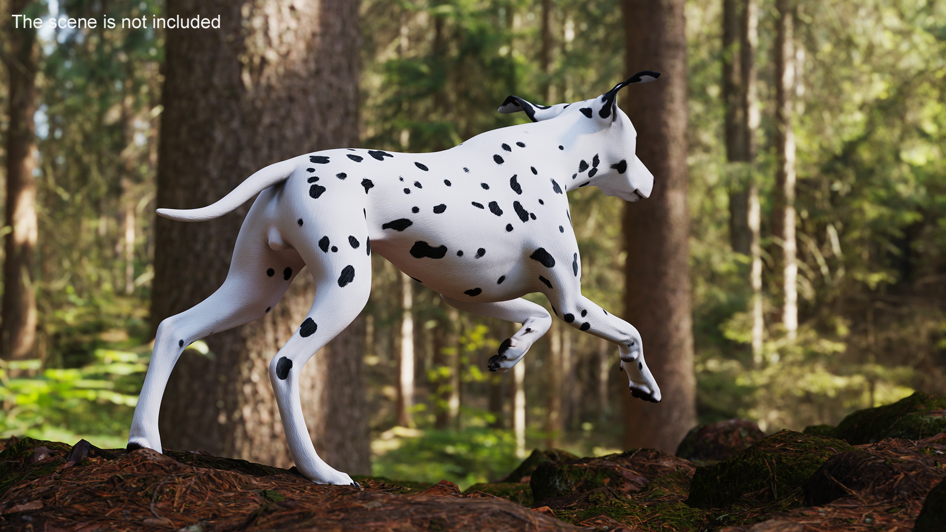 3D Running Dalmatian Dog