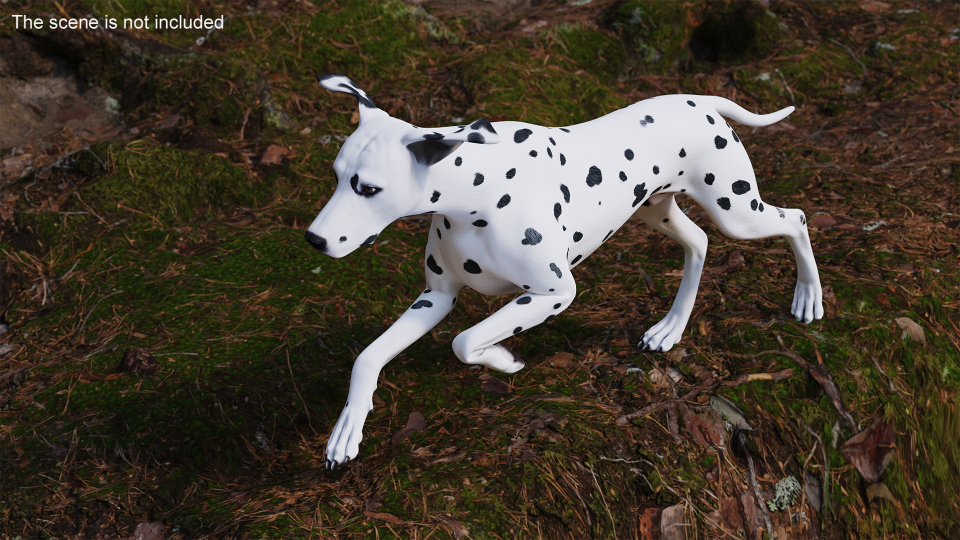 3D Running Dalmatian Dog
