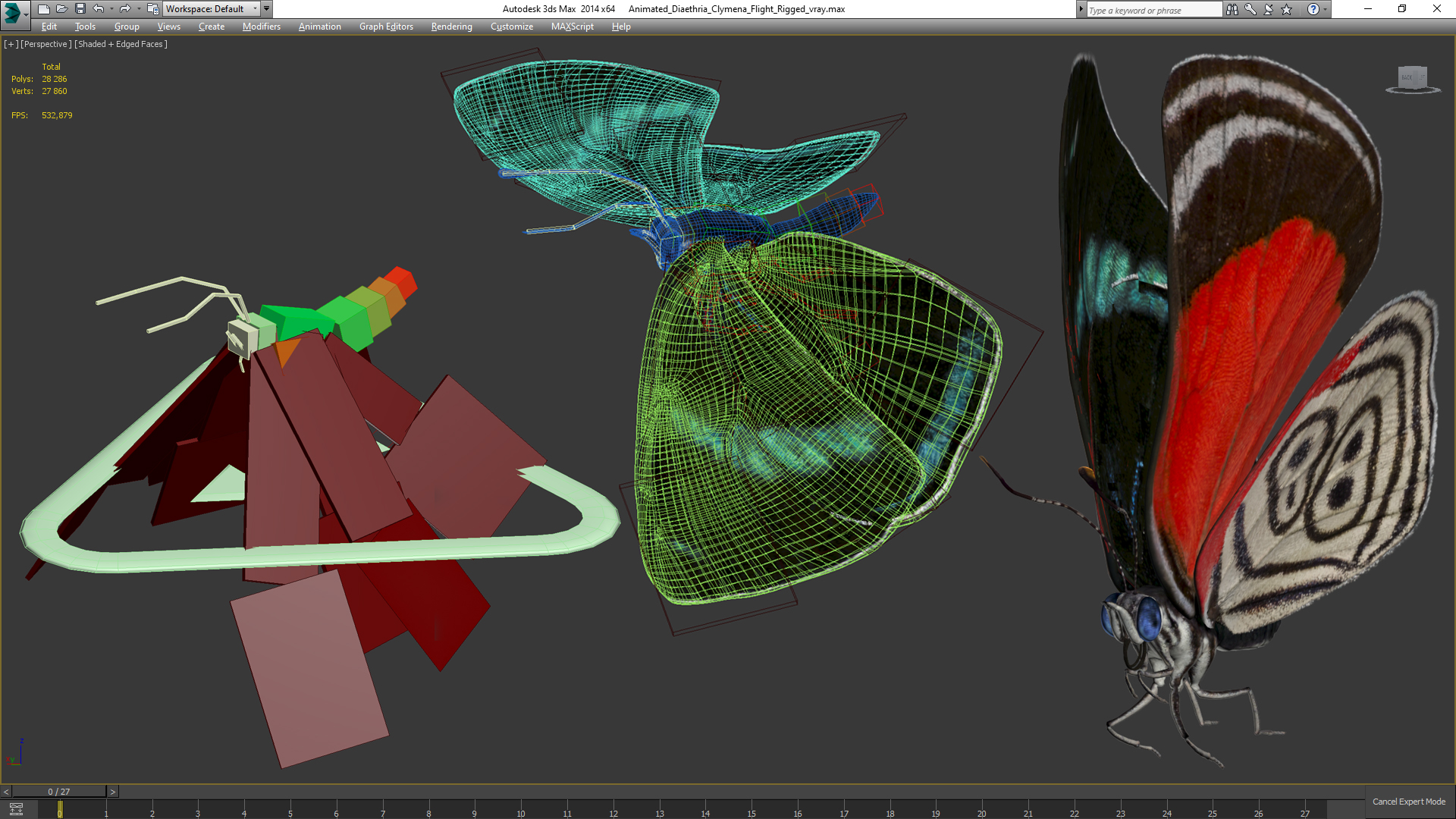 3D model Animated Diaethria Clymena Flight Rigged