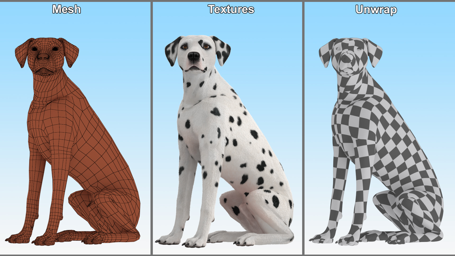 3D model Dalmatian Dog Sitting Pose Fur