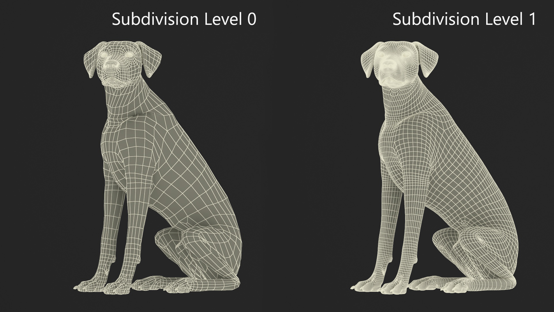 3D model Dalmatian Dog Sitting Pose Fur