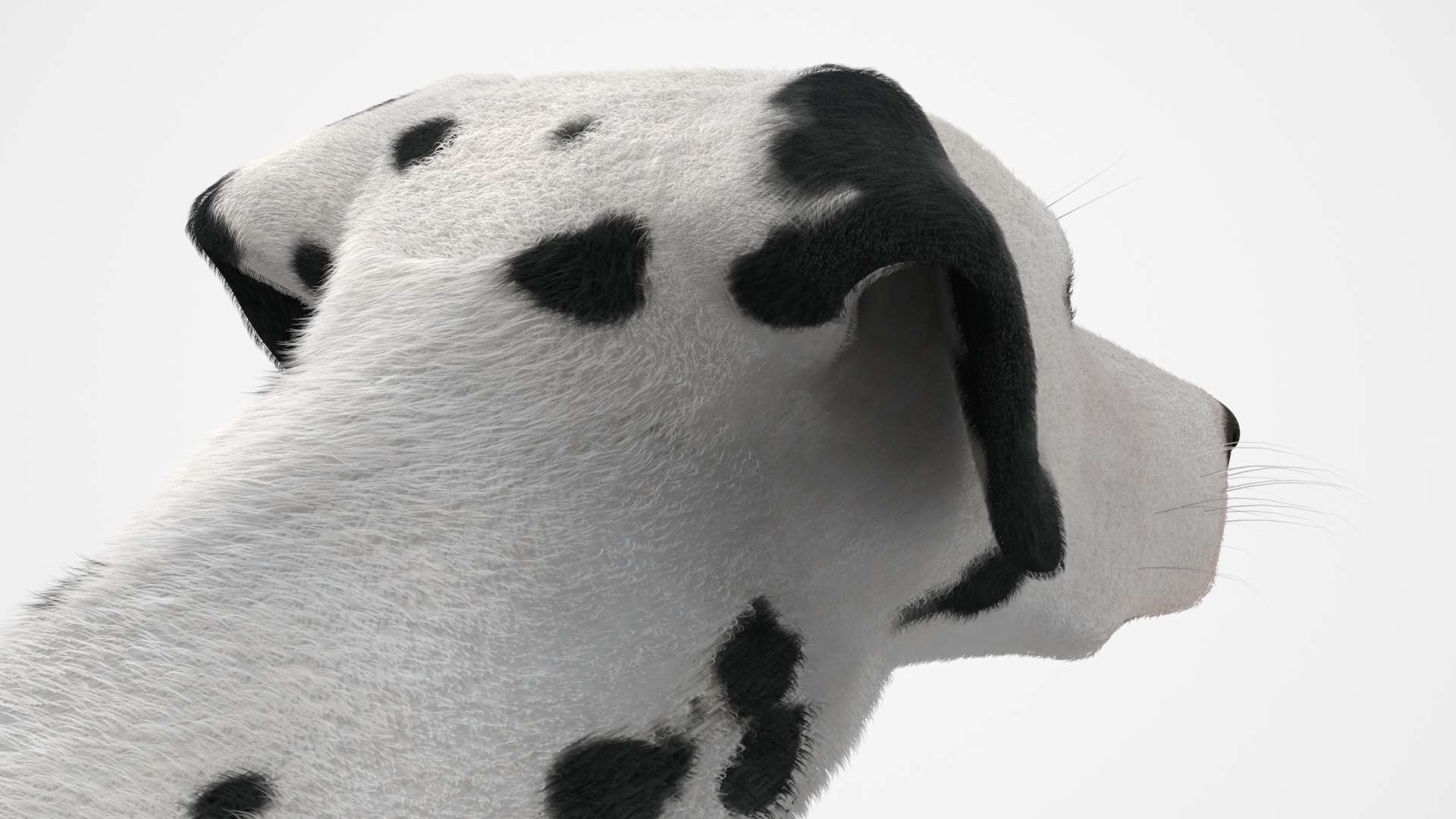3D model Dalmatian Dog Sitting Pose Fur