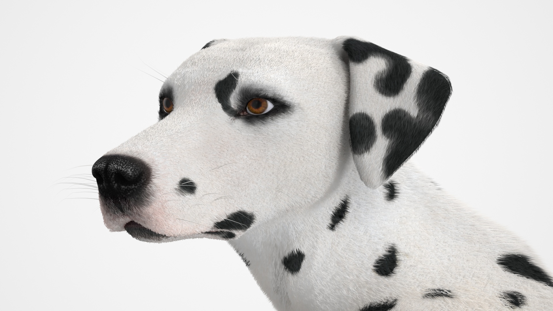 3D model Dalmatian Dog Sitting Pose Fur