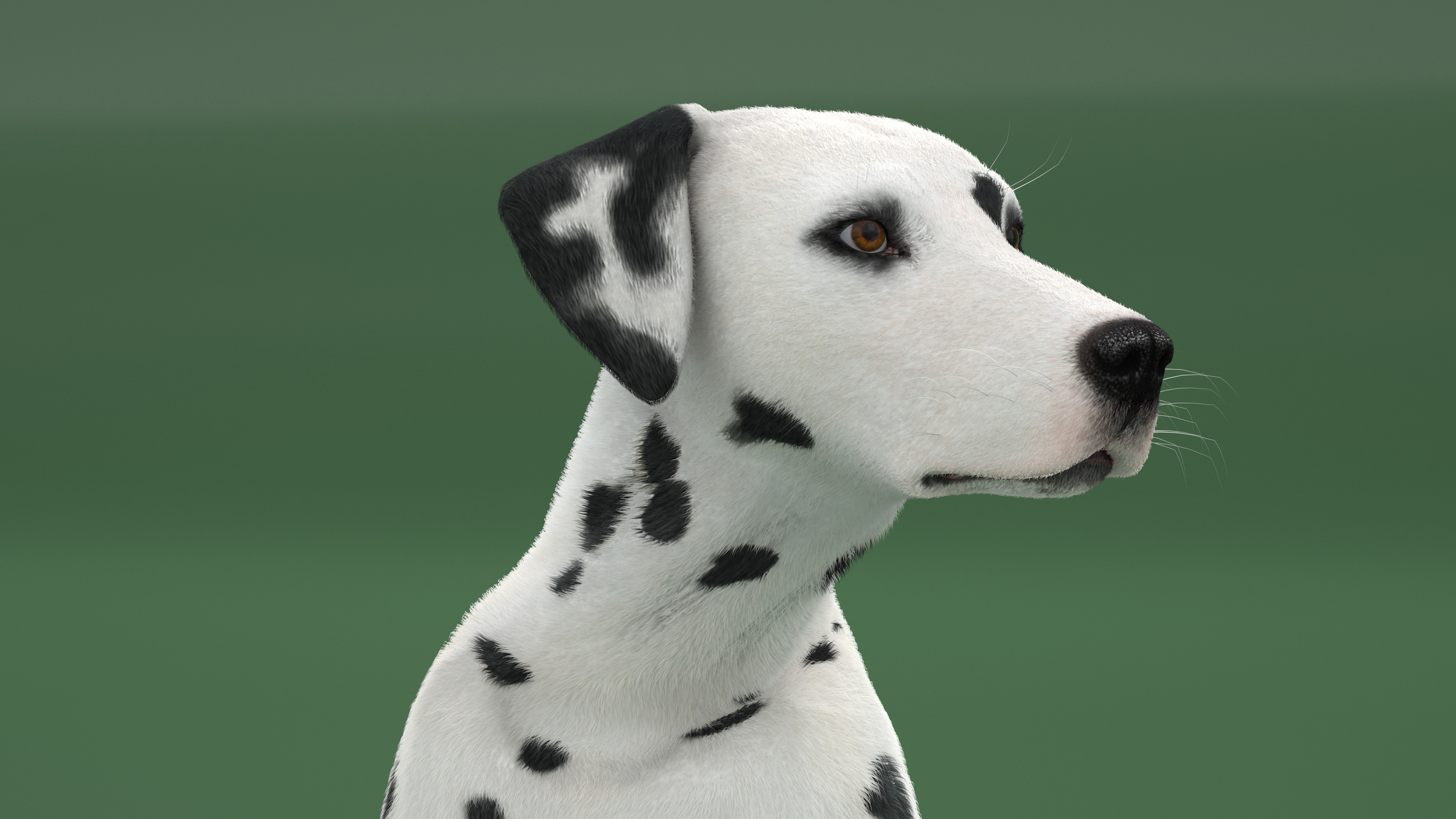 3D model Dalmatian Dog Sitting Pose Fur
