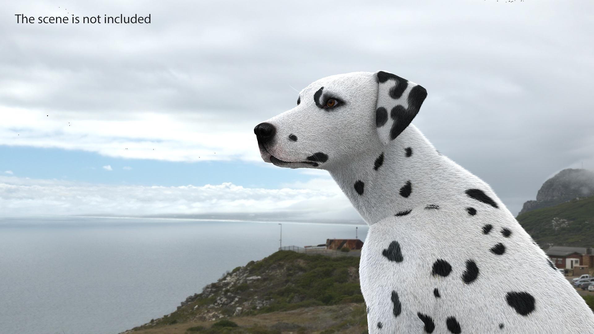 3D model Dalmatian Dog Sitting Pose Fur