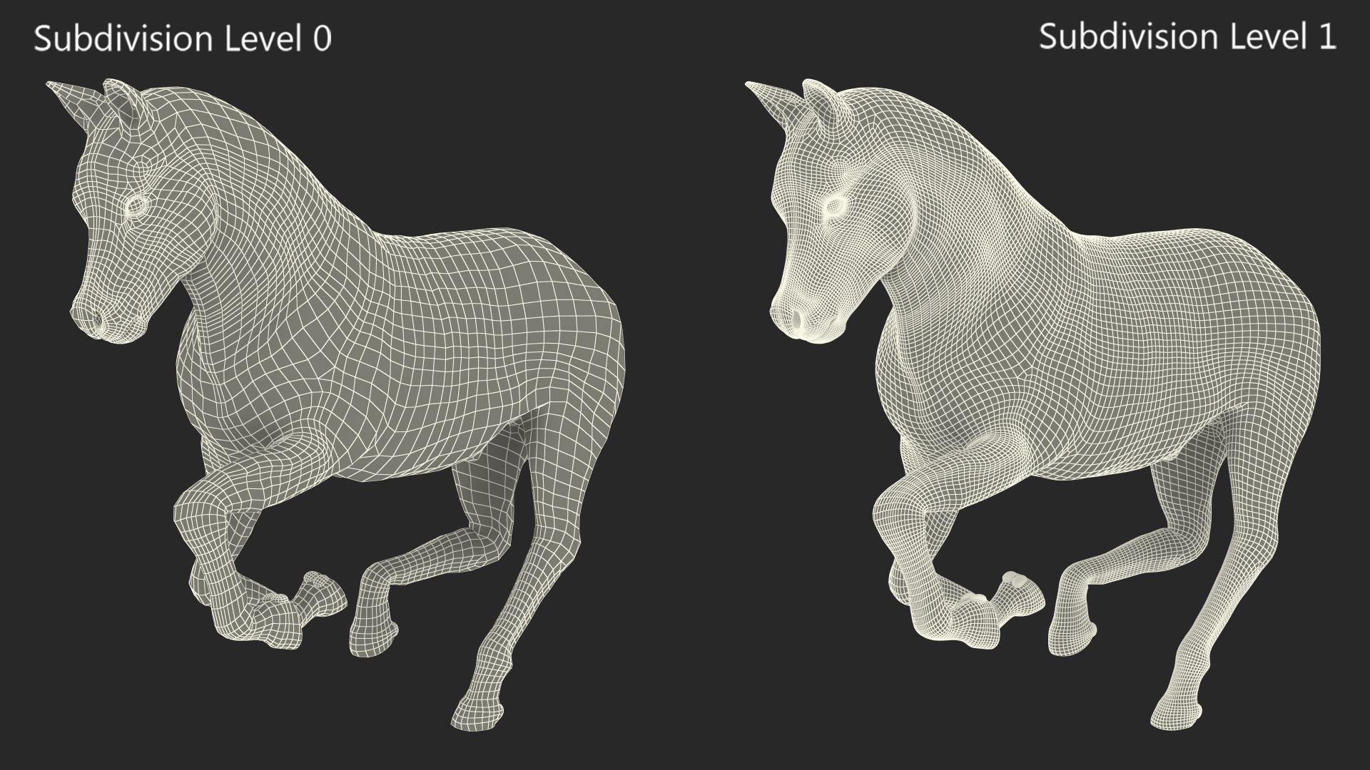 3D Galloping Shetland Pony model