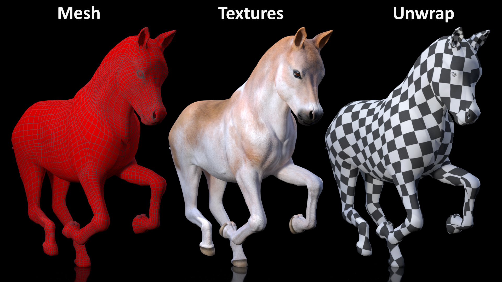 3D Galloping Shetland Pony model