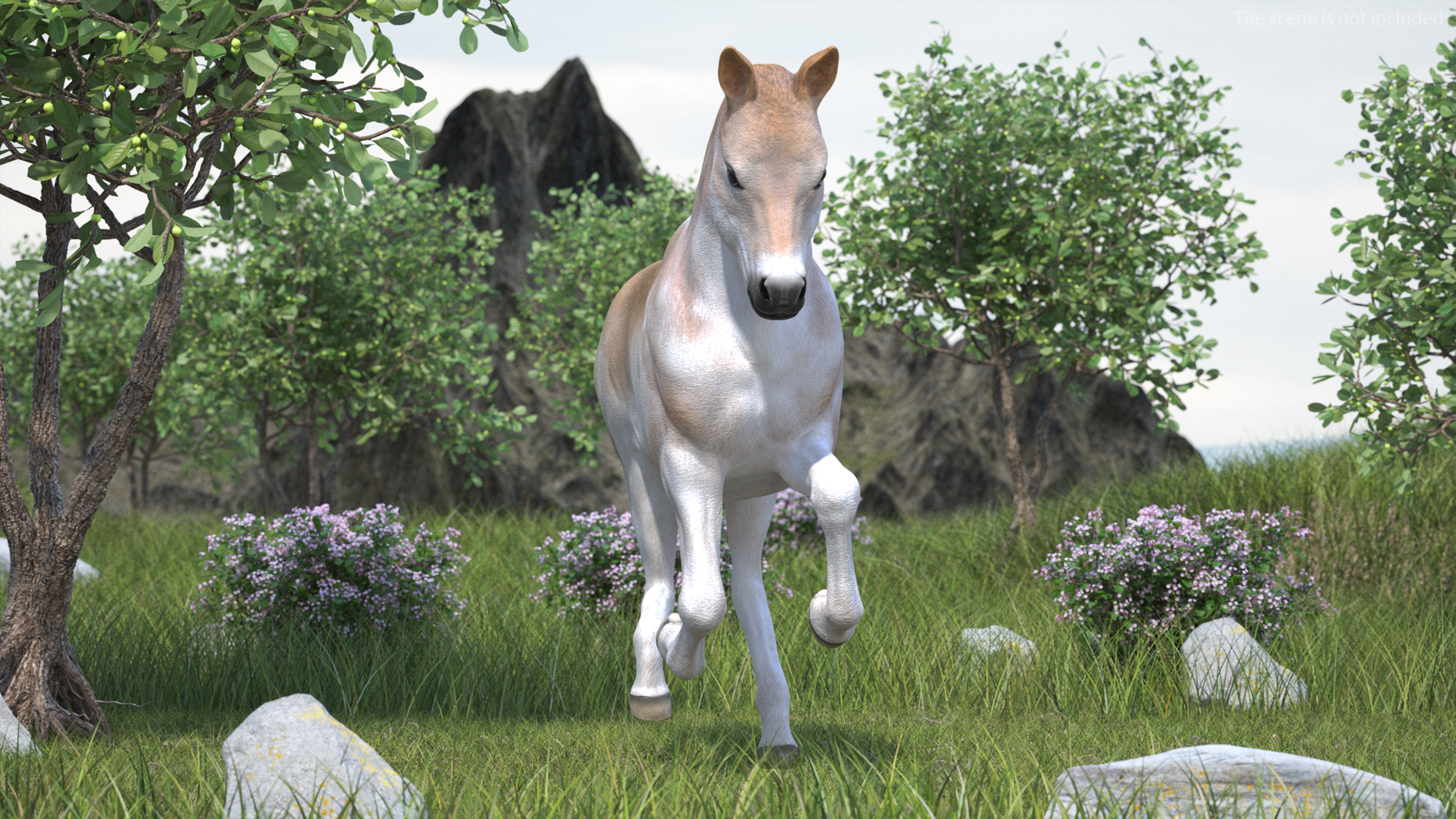 3D Galloping Shetland Pony model