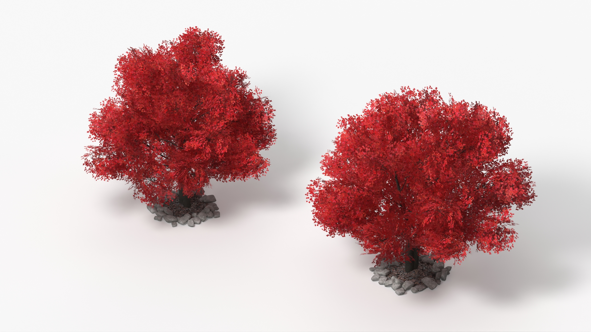 LowPoly Japanese Maple Tree with Mulch and Stones - view 4
