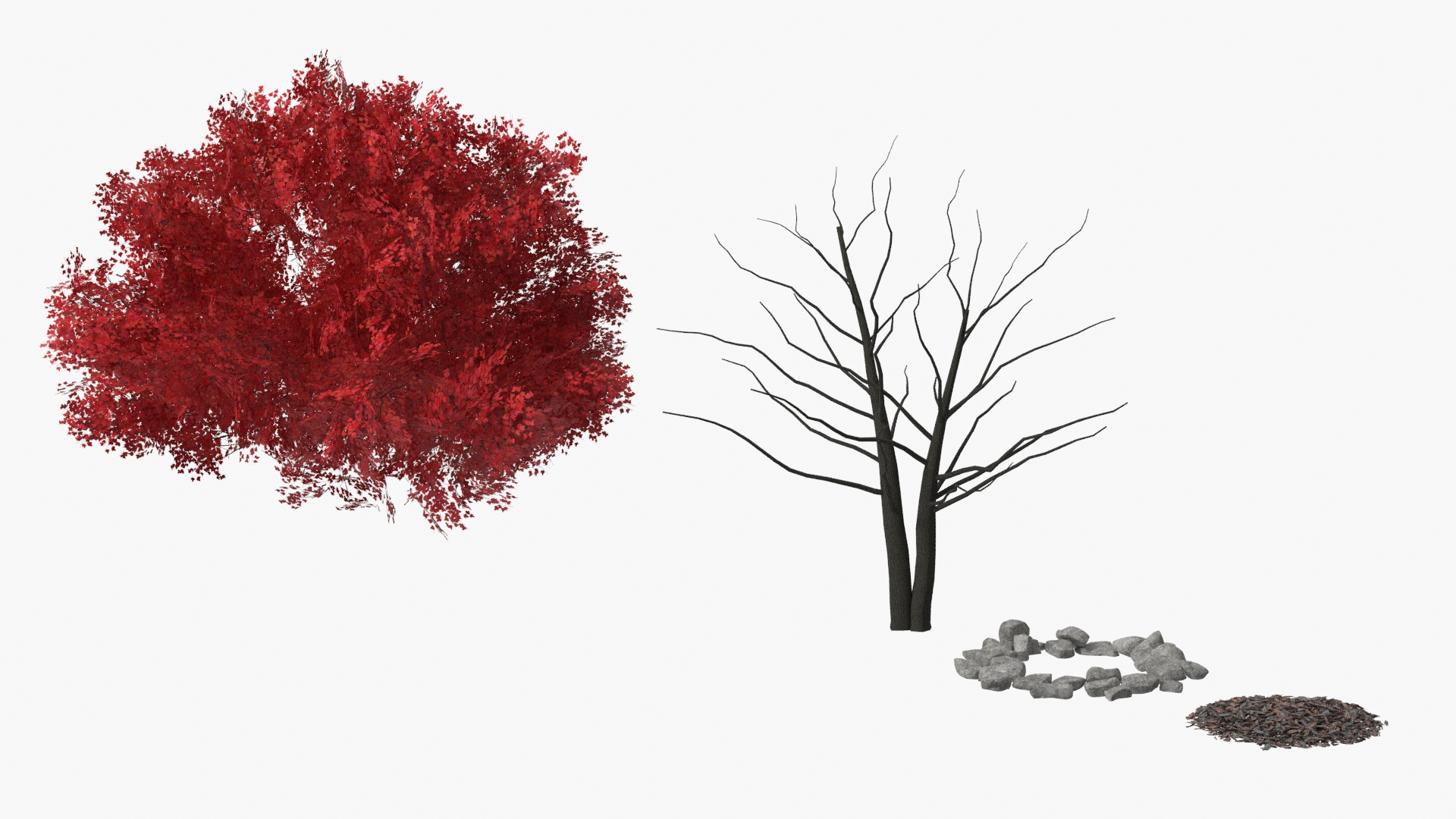 LowPoly Japanese Maple Tree with Mulch and Stones - view 6