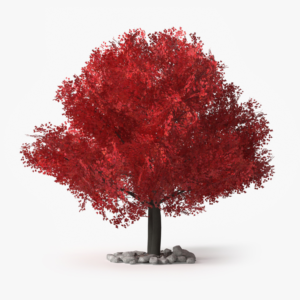 LowPoly Japanese Maple Tree with Mulch and Stones 3D model preview