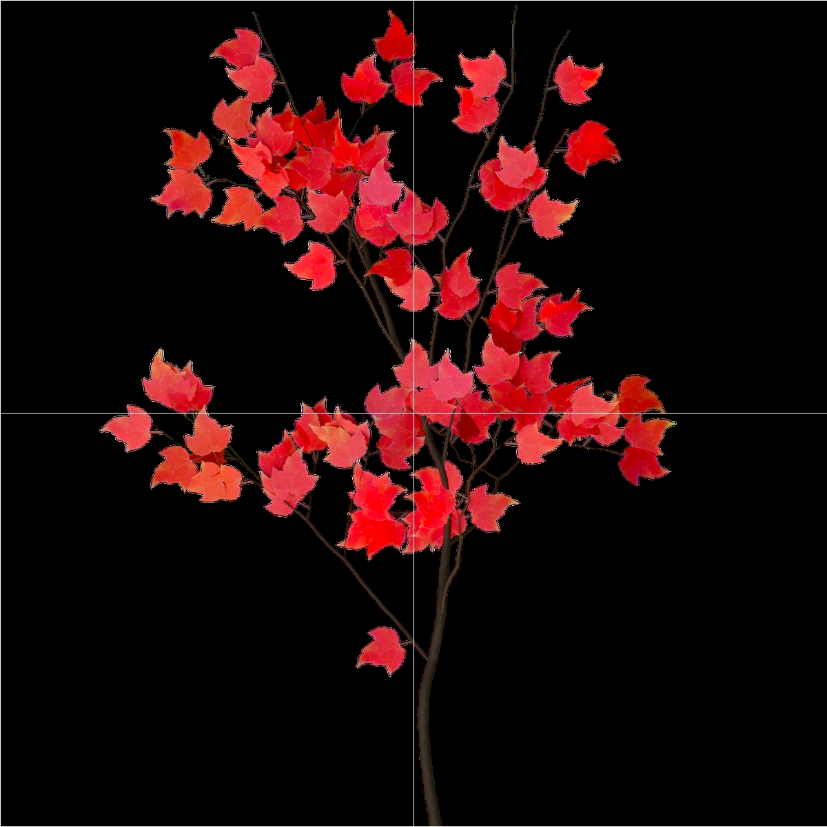 LowPoly Japanese Maple Tree with Mulch and Stones - view 9