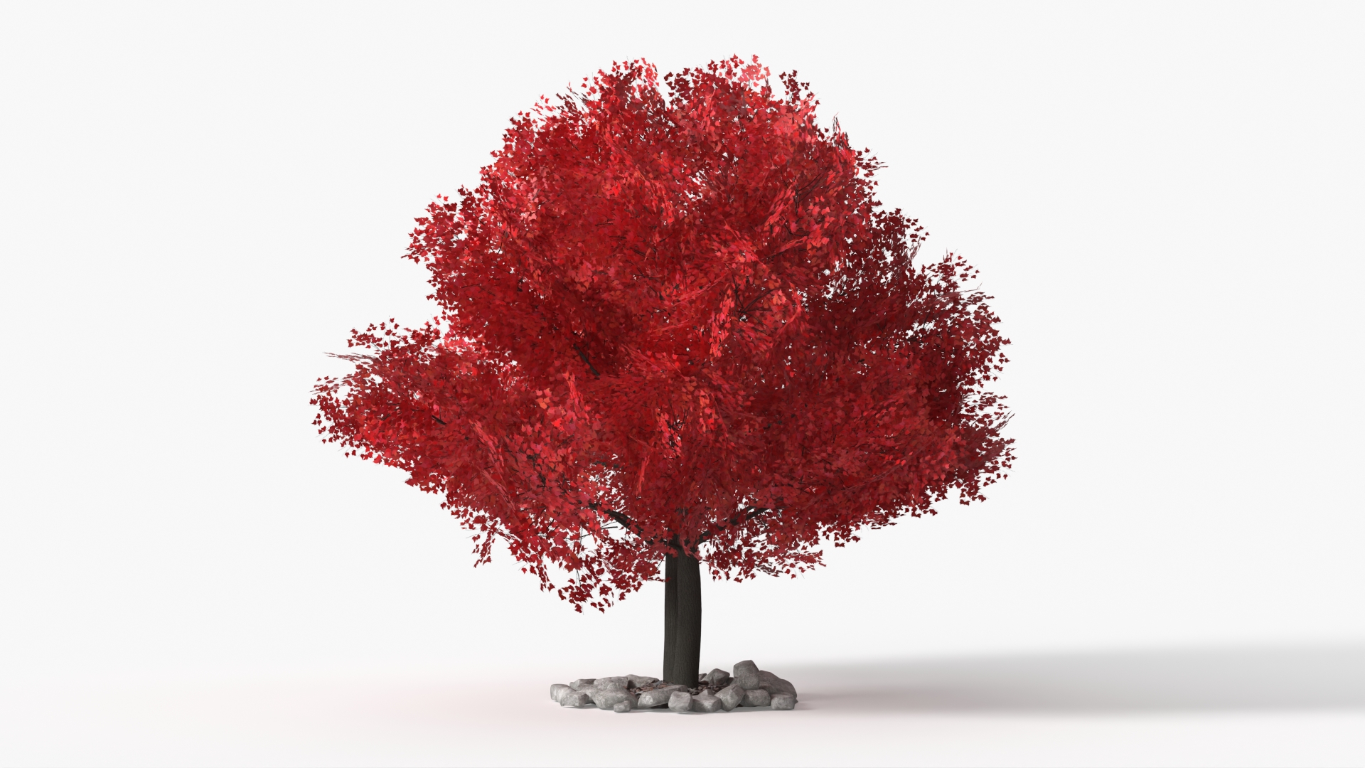 LowPoly Japanese Maple Tree with Mulch and Stones - view 2