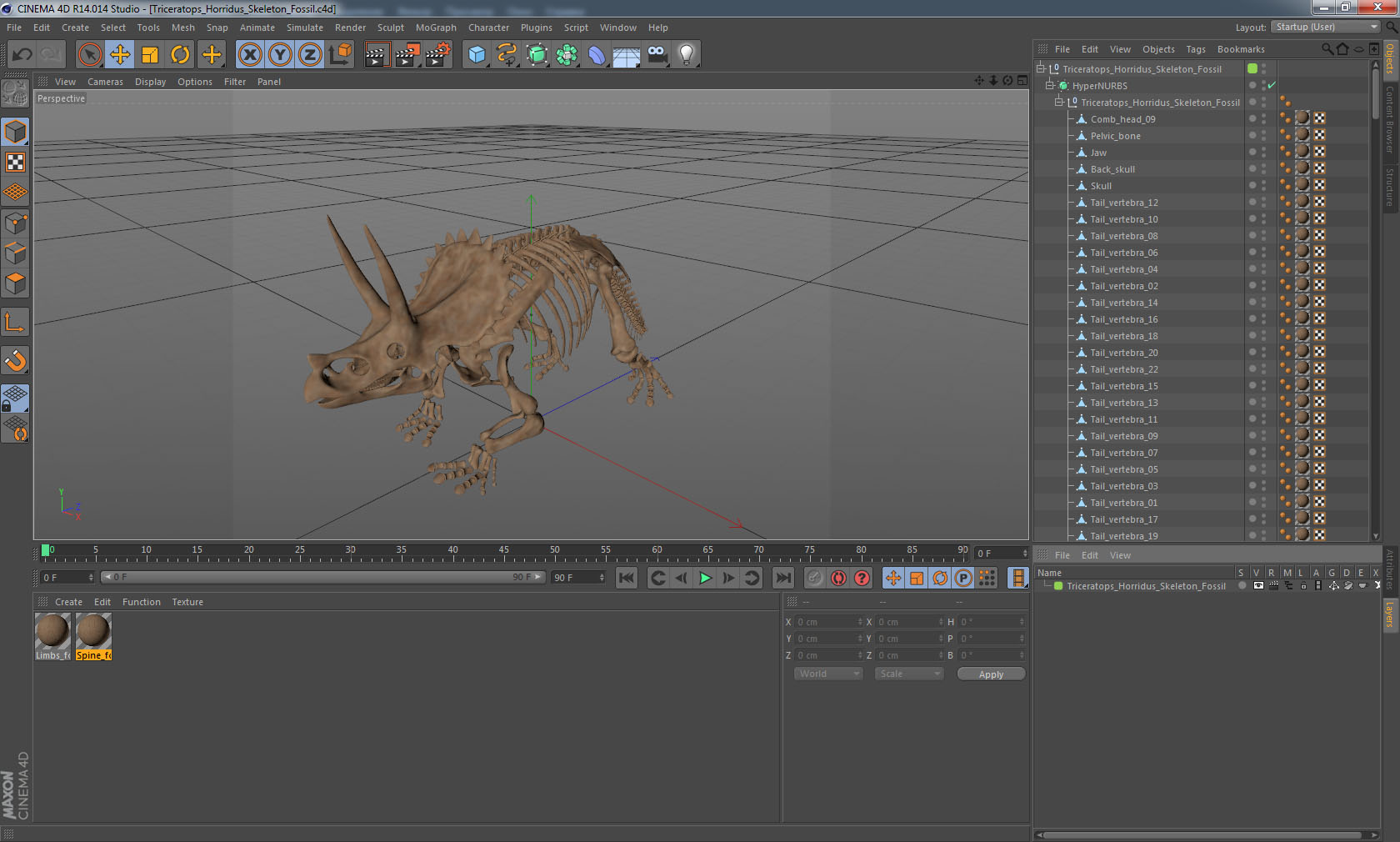 3D Triceratops Horridus Skeleton Fossil