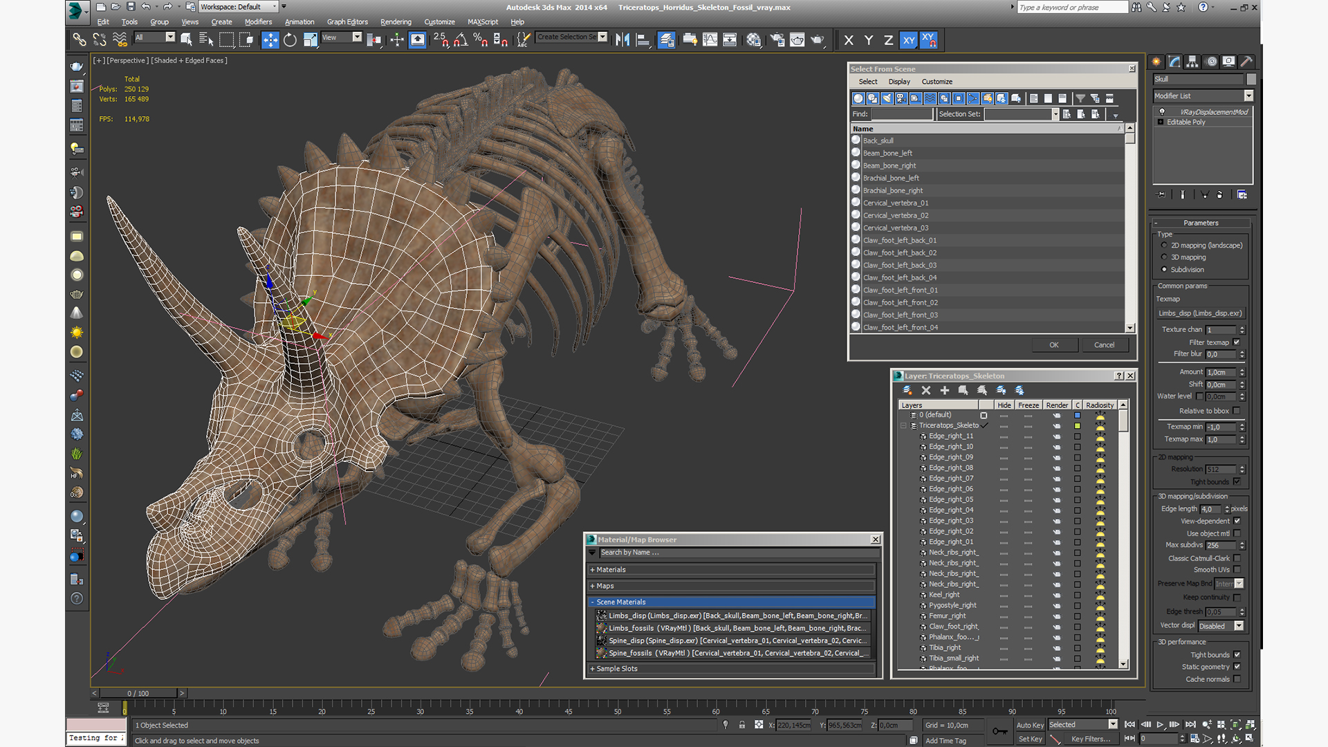 3D Triceratops Horridus Skeleton Fossil