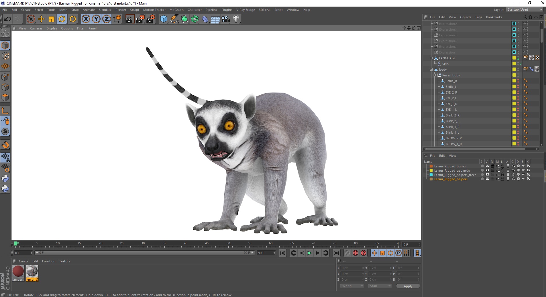 3D Lemur Rigged for Cinema 4D