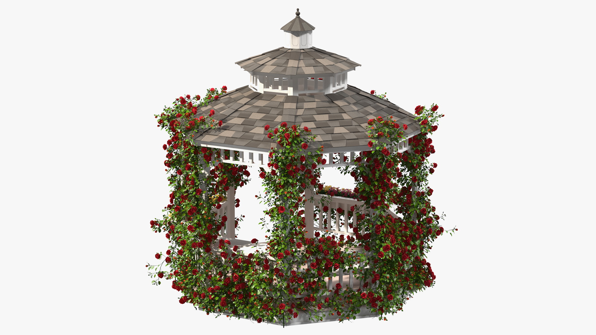 3D Gazebo Covered with Red Rose model