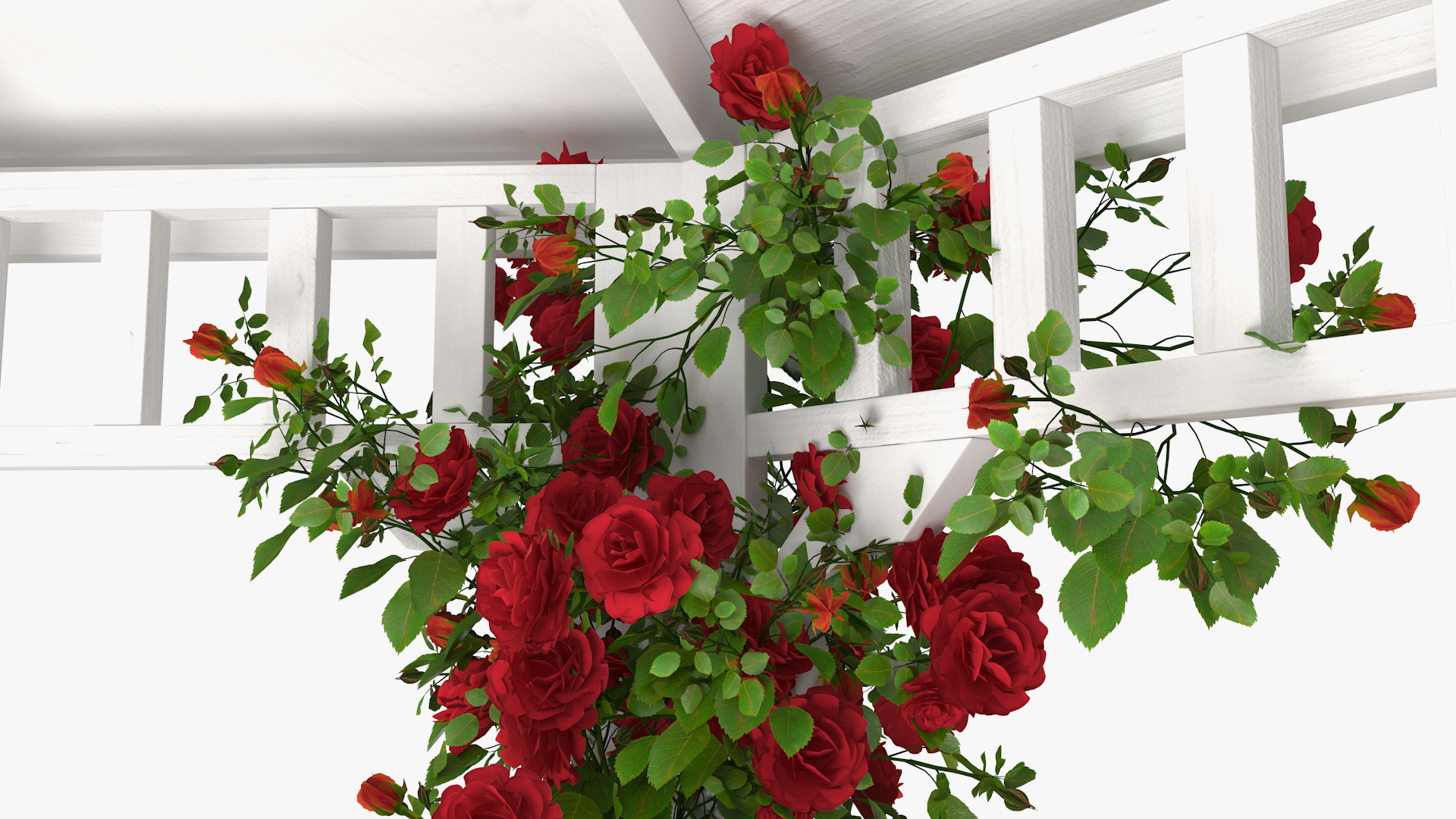 3D Gazebo Covered with Red Rose model