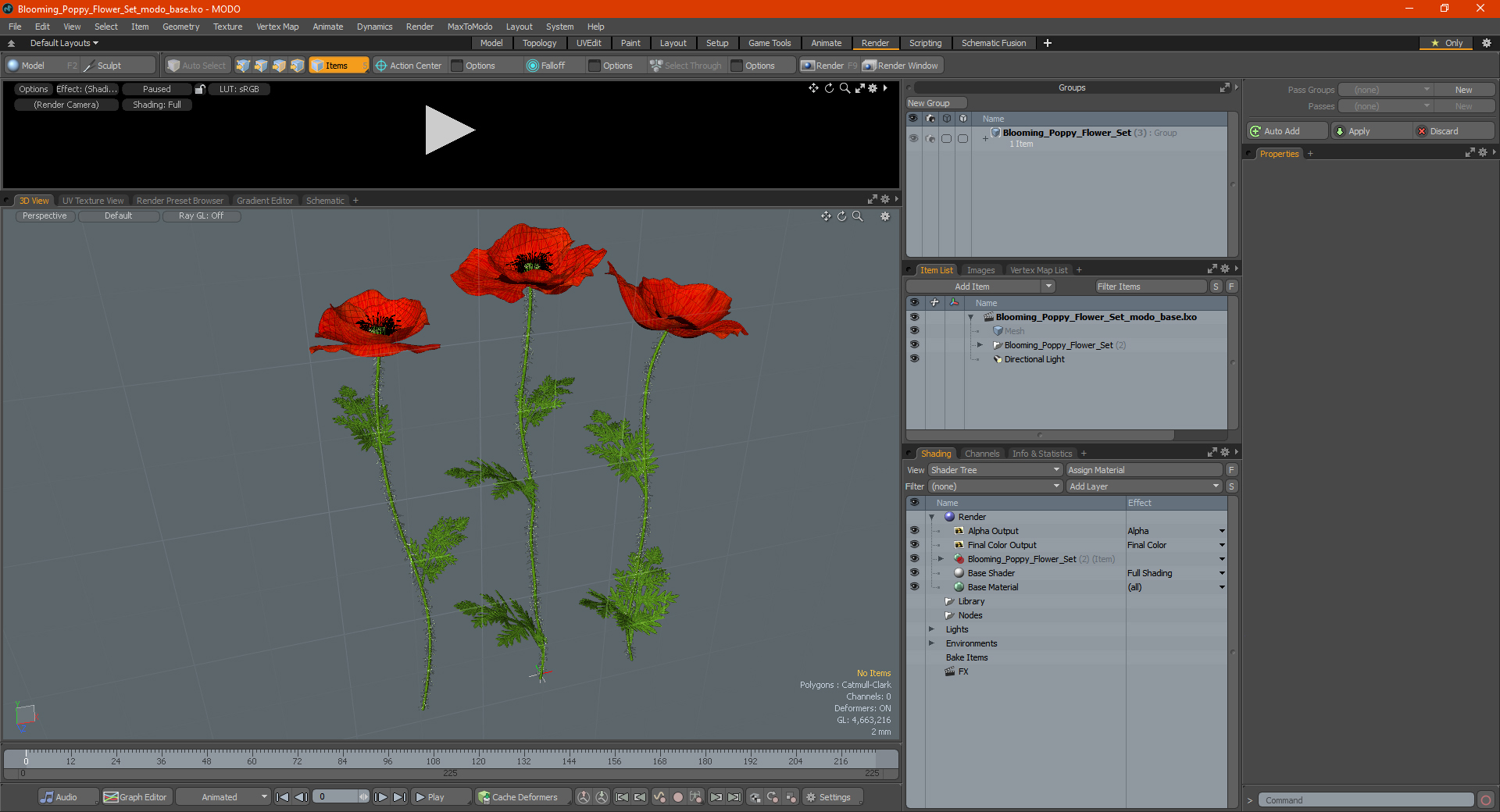 3D model Blooming Poppy Flower Set