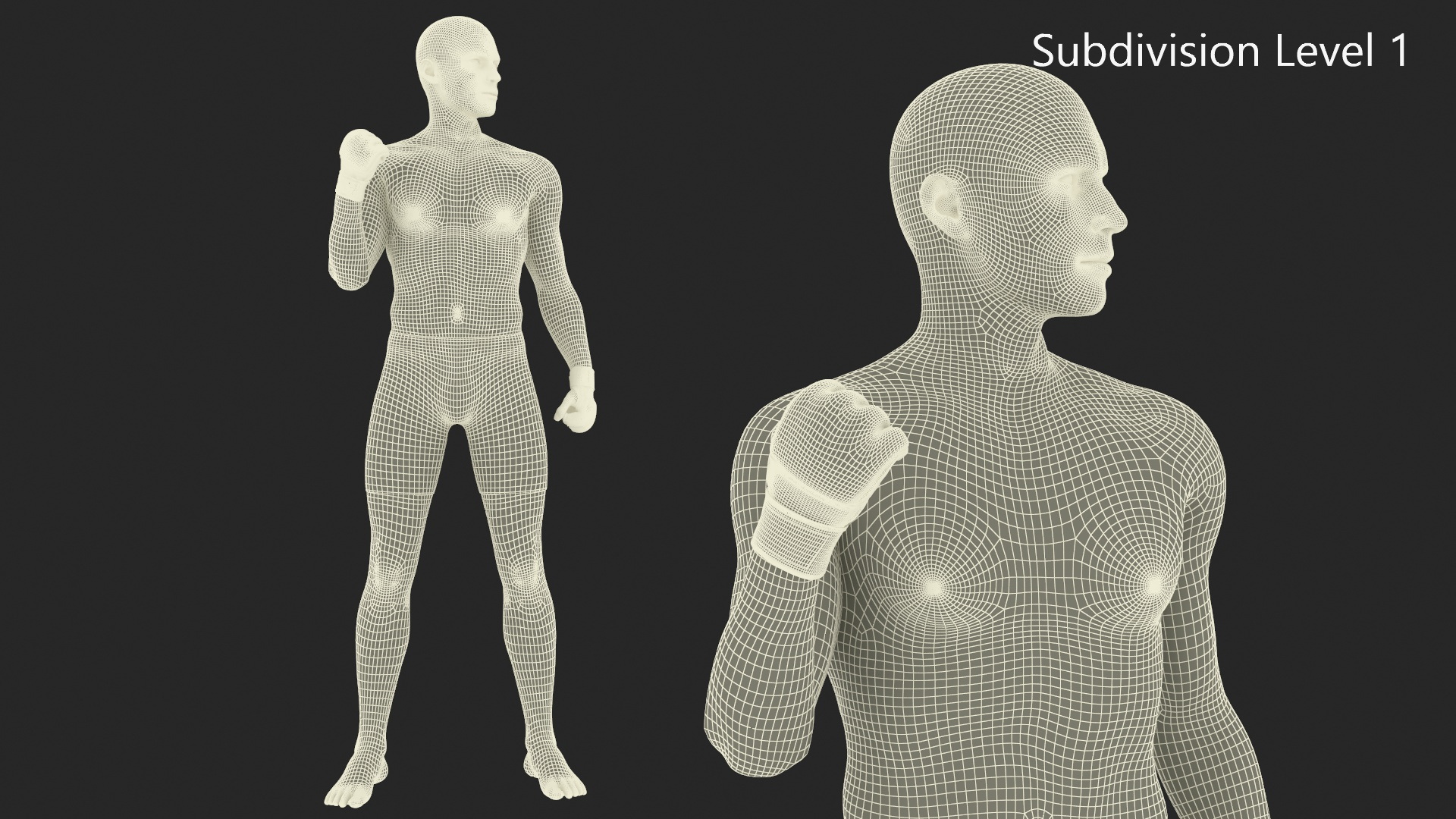 Fighter UFC MMA in Pose Sweaty Fur 3D model