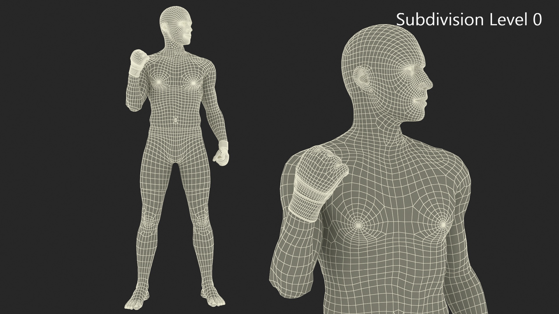 Fighter UFC MMA in Pose Sweaty Fur 3D model