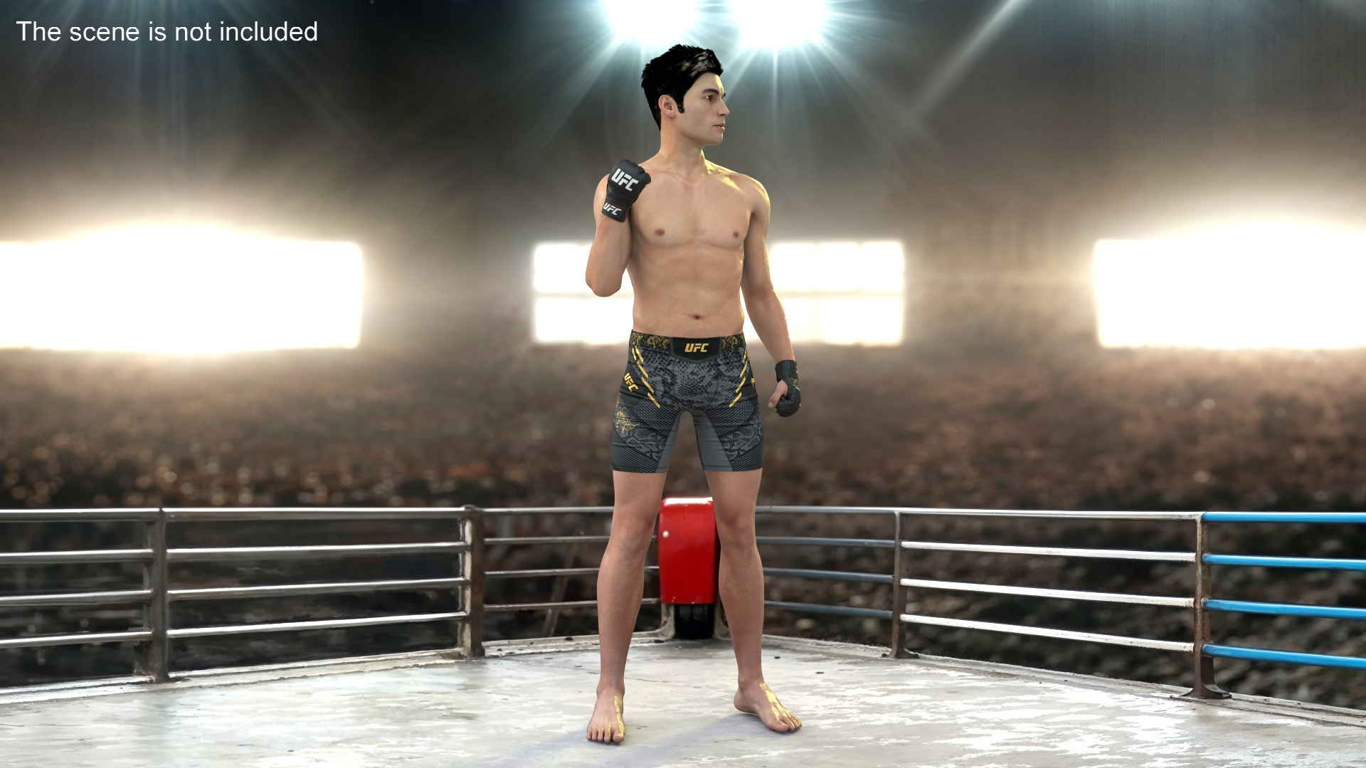 Fighter UFC MMA in Pose Sweaty Fur 3D model
