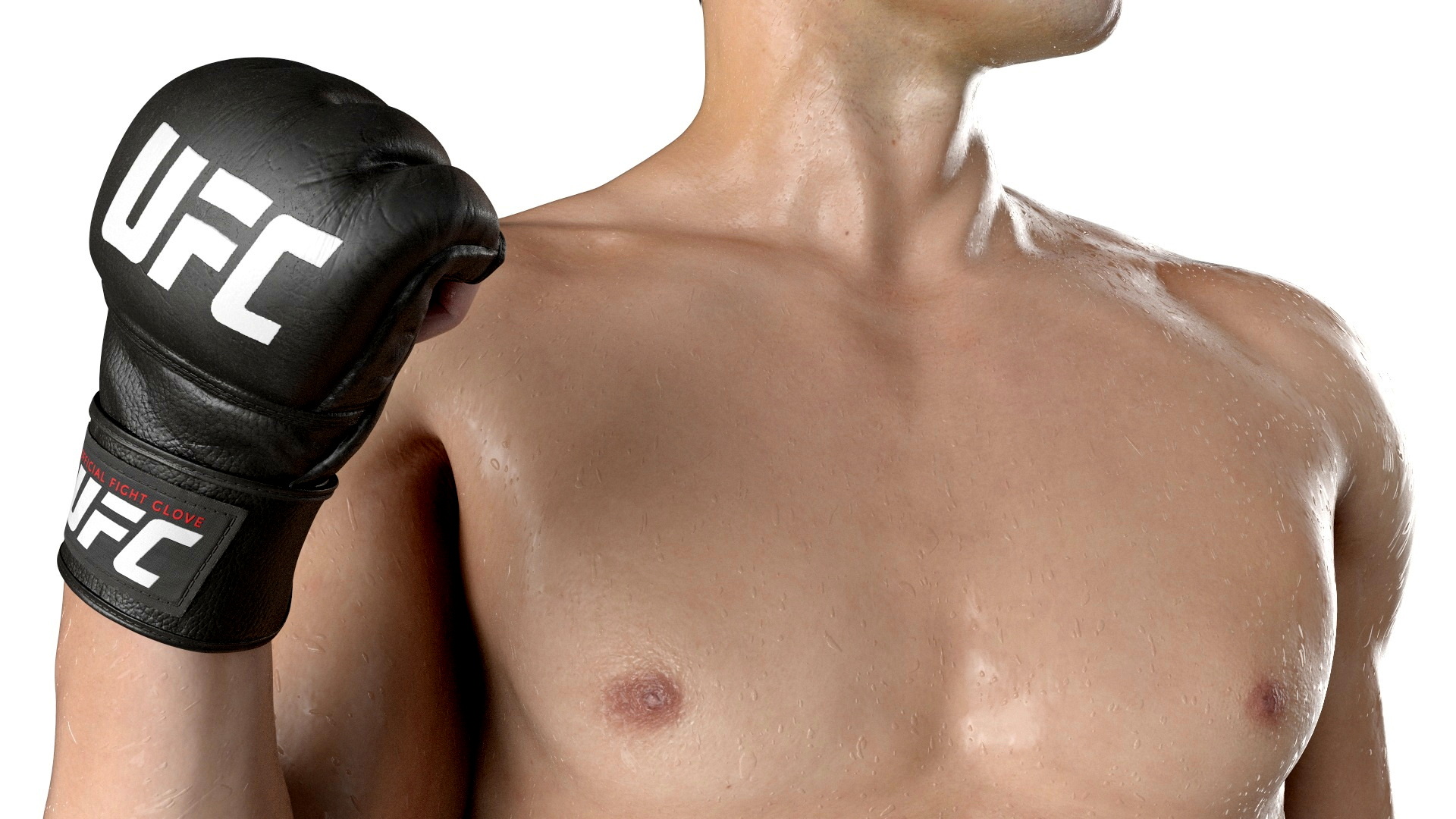 Fighter UFC MMA in Pose Sweaty Fur 3D model