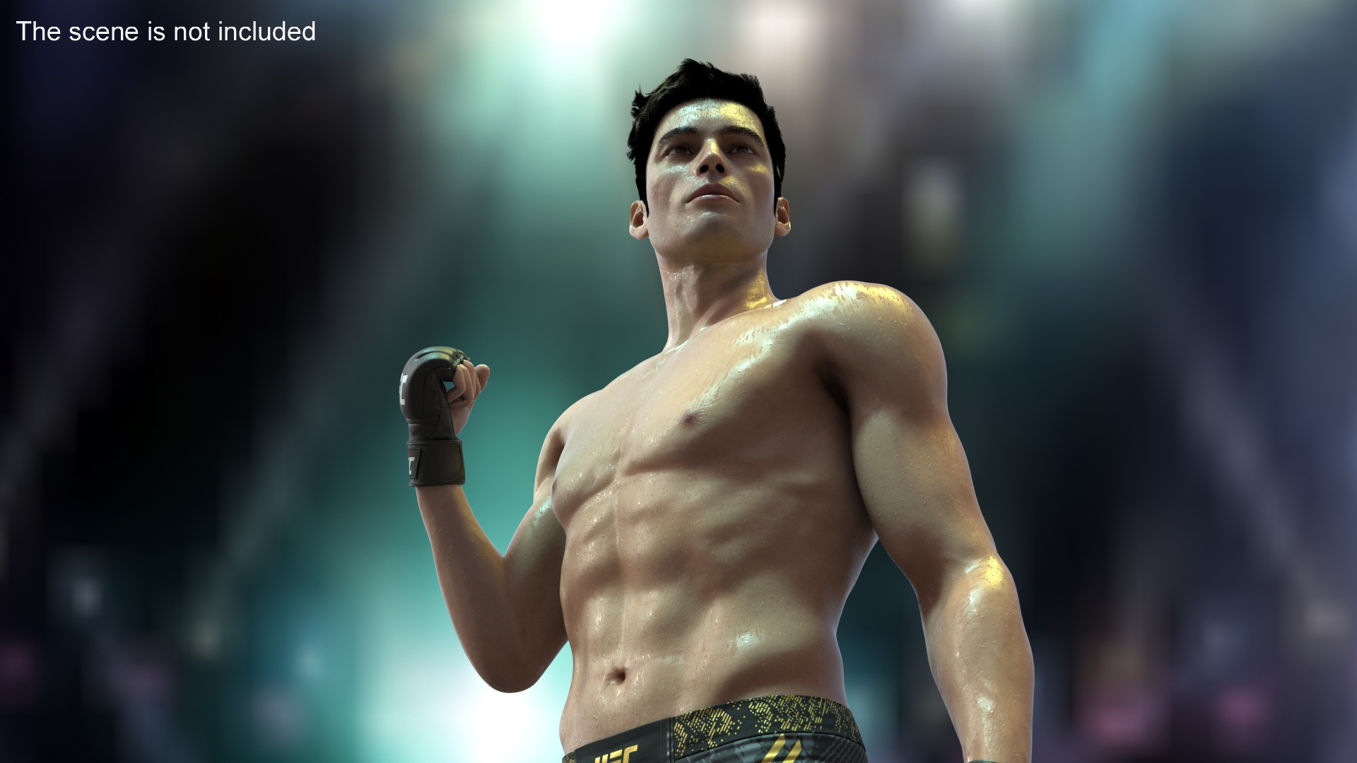 Fighter UFC MMA in Pose Sweaty Fur 3D model
