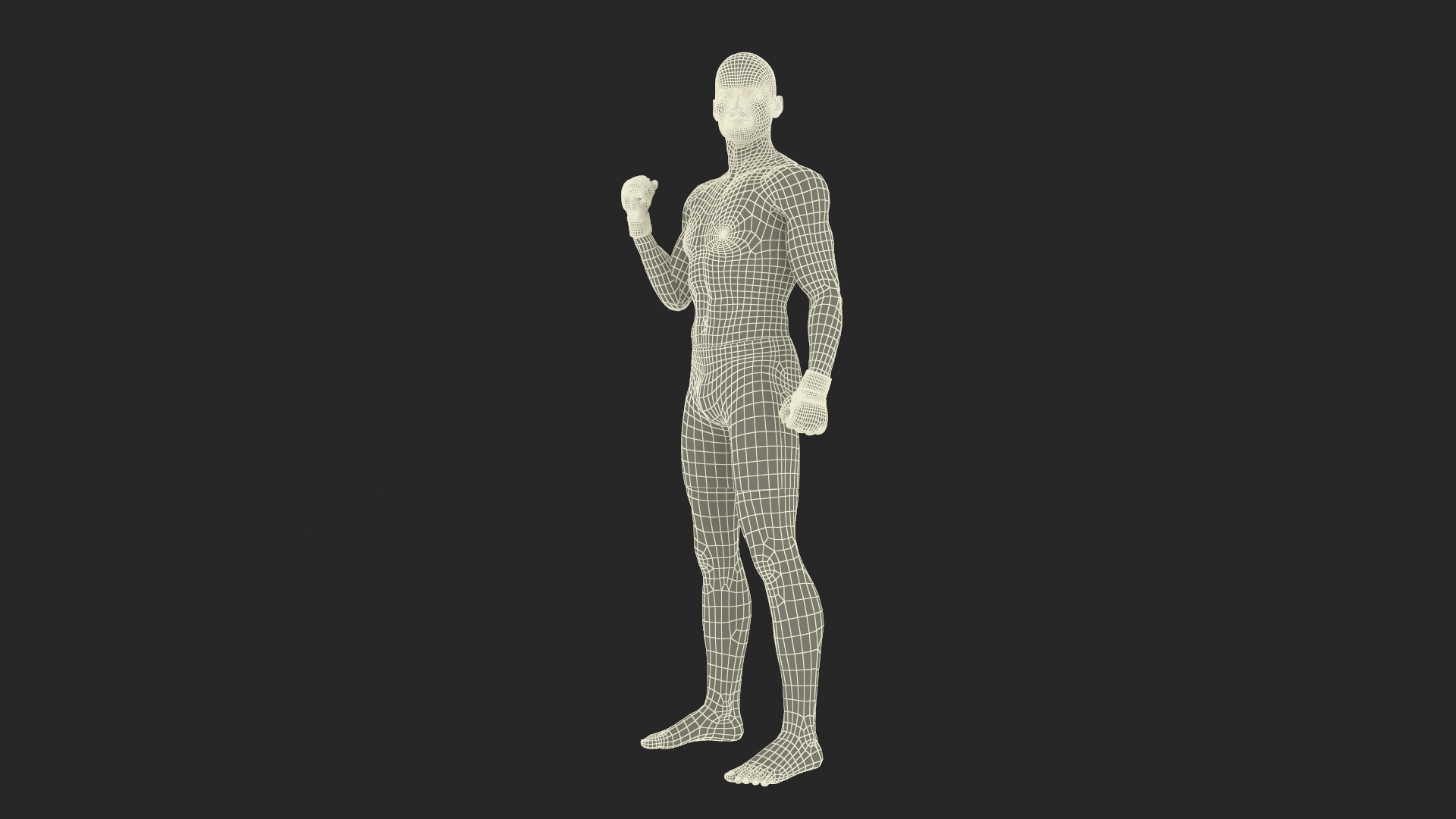 Fighter UFC MMA in Pose Sweaty Fur 3D model