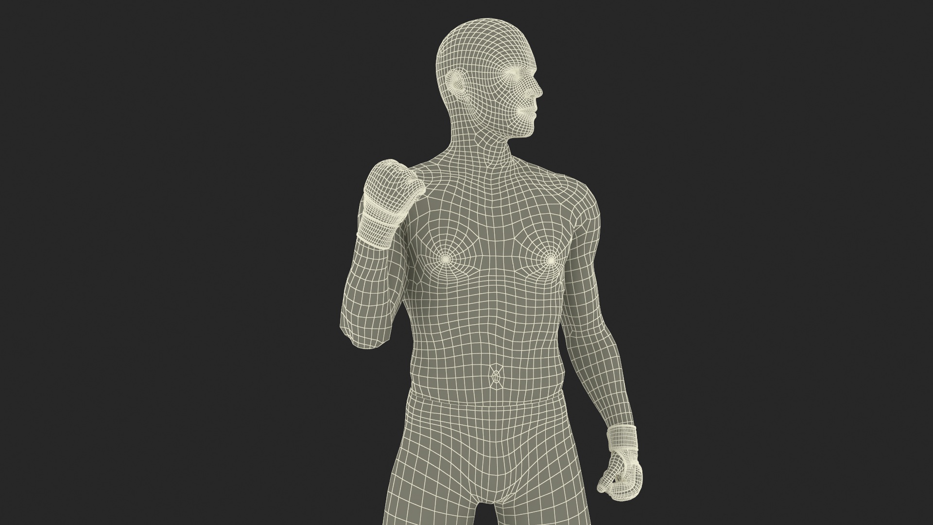Fighter UFC MMA in Pose Sweaty Fur 3D model
