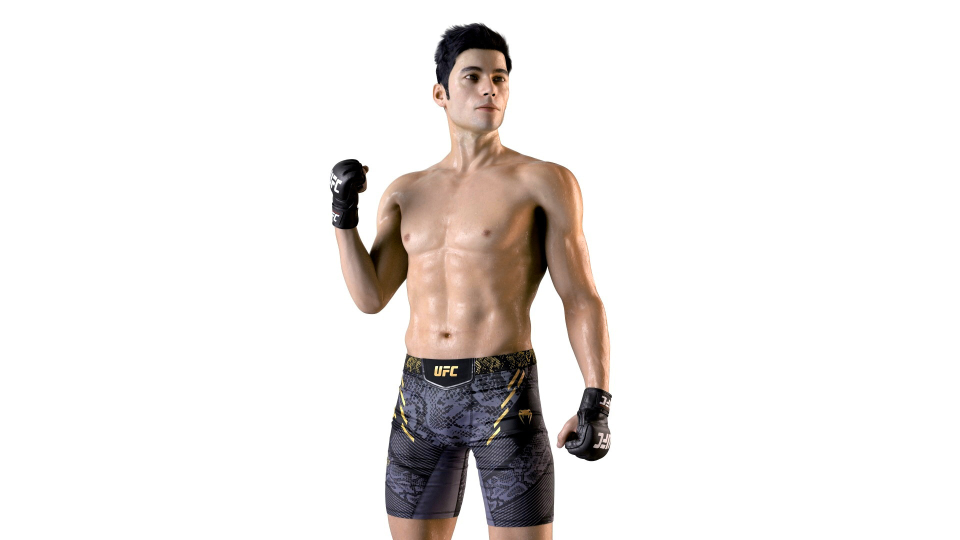 Fighter UFC MMA in Pose Sweaty Fur 3D model