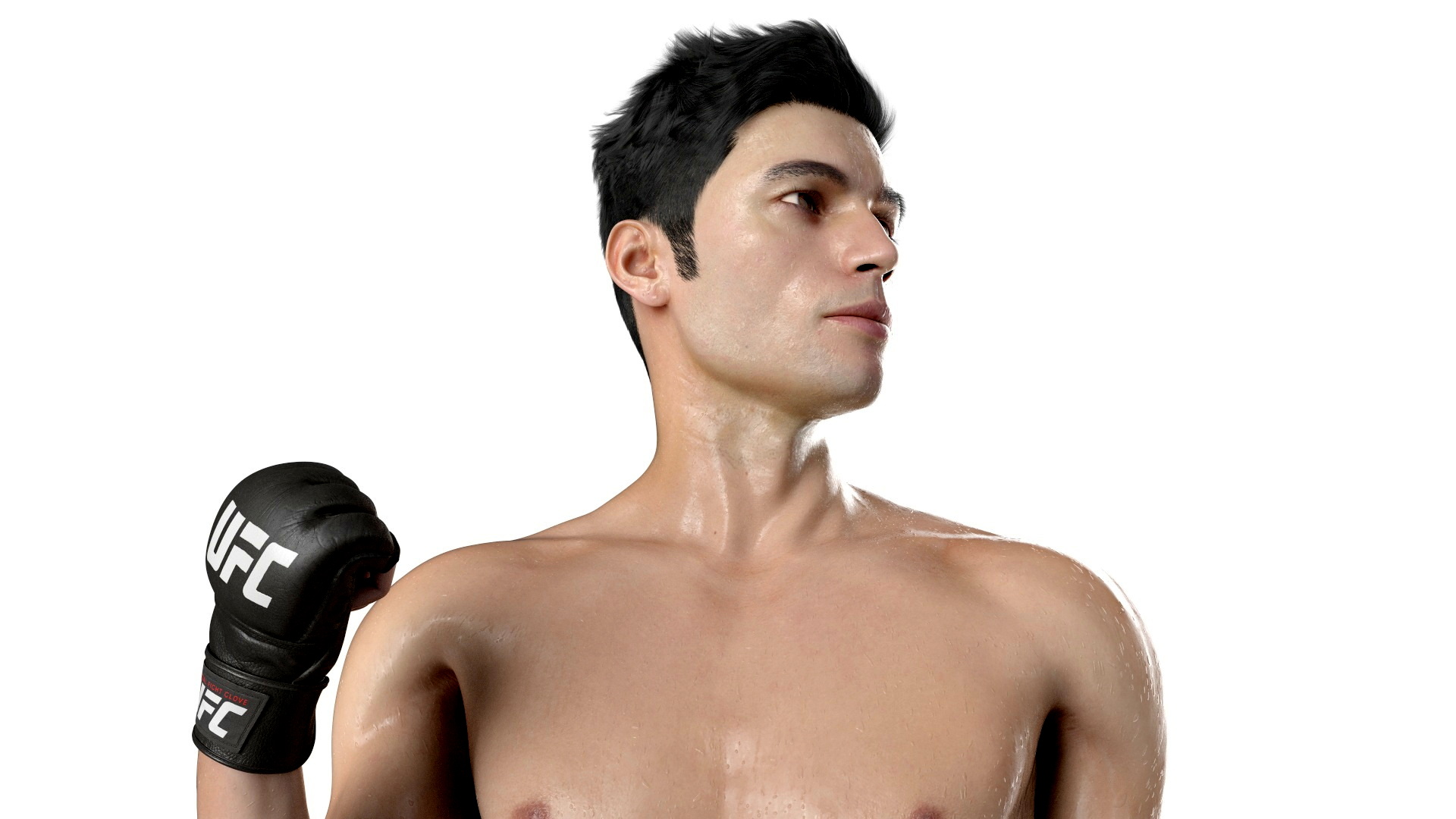 Fighter UFC MMA in Pose Sweaty Fur 3D model