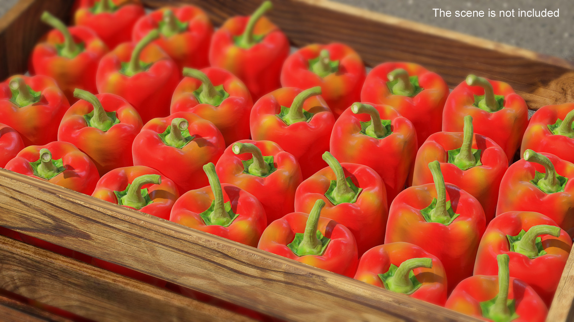 3D Red Long Pepper Bicolor model