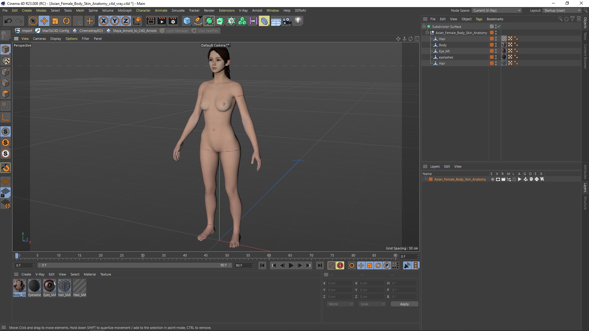 3D model Asian Female Body Skin Anatomy