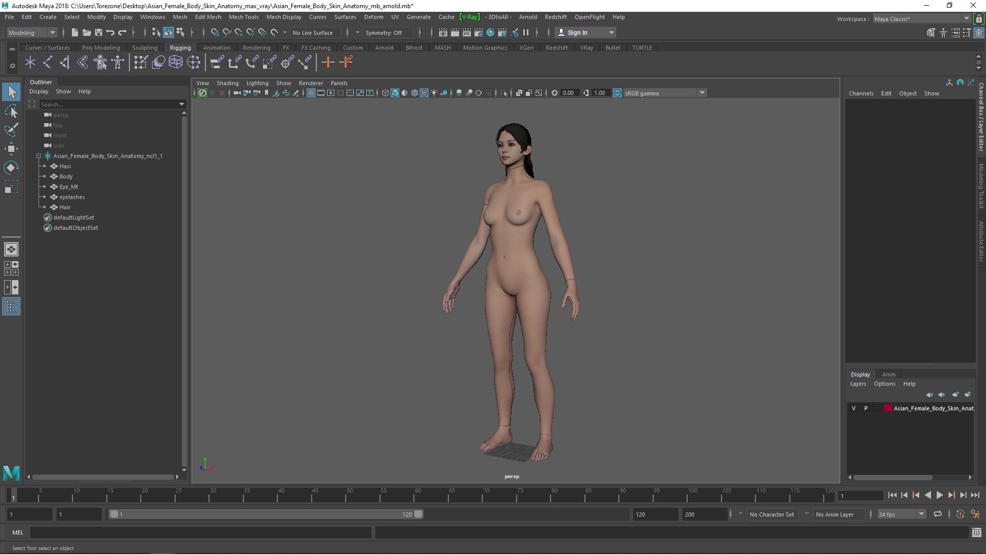 3D model Asian Female Body Skin Anatomy
