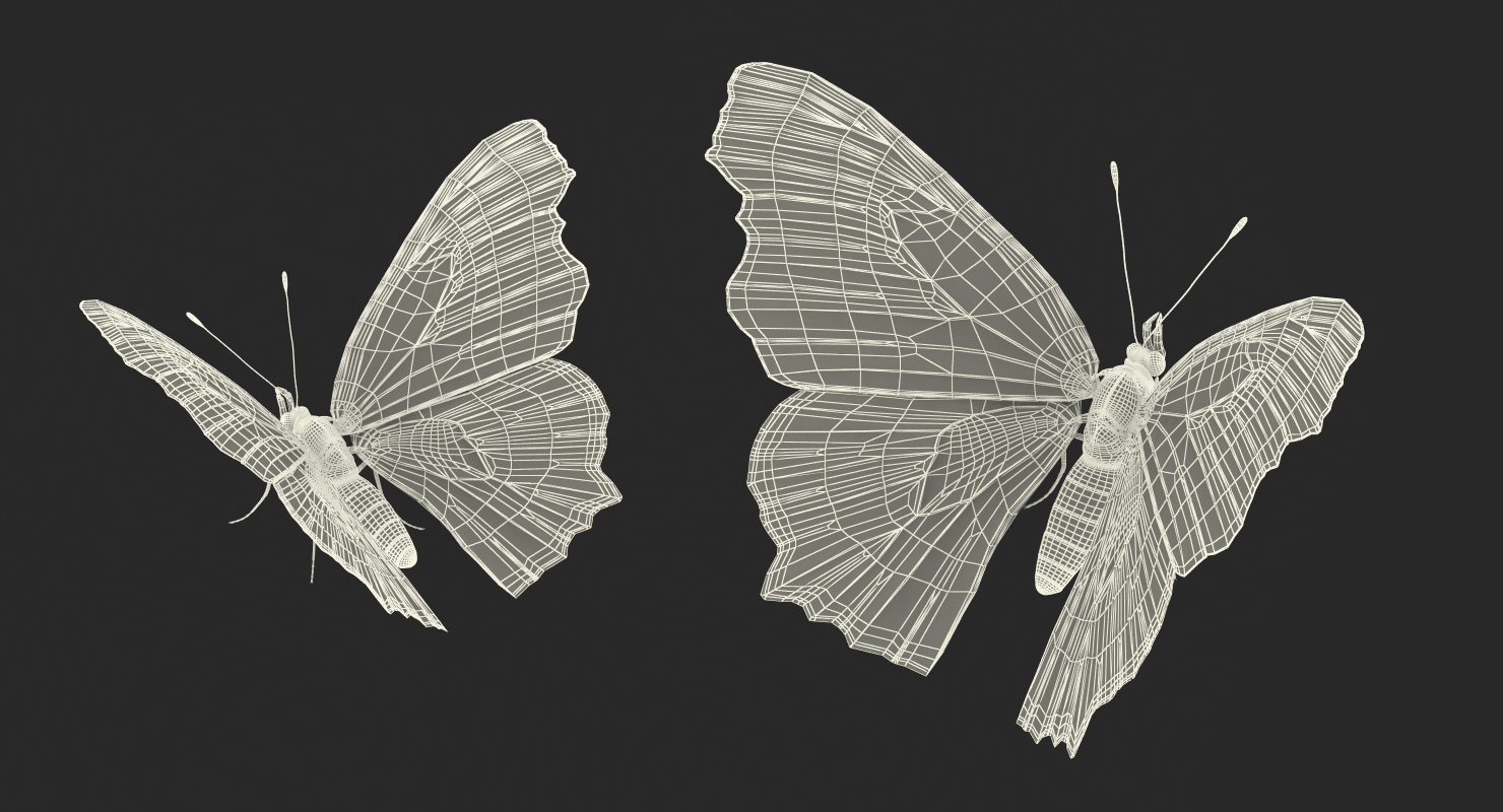 Aglais io or European Peacock Butterfly 3D model