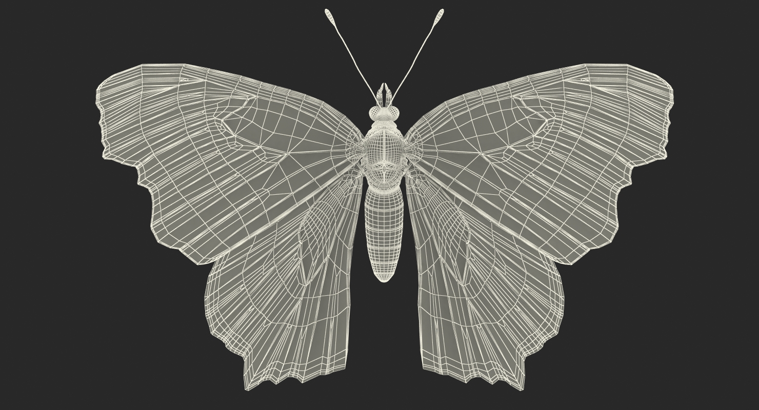 Aglais io or European Peacock Butterfly 3D model