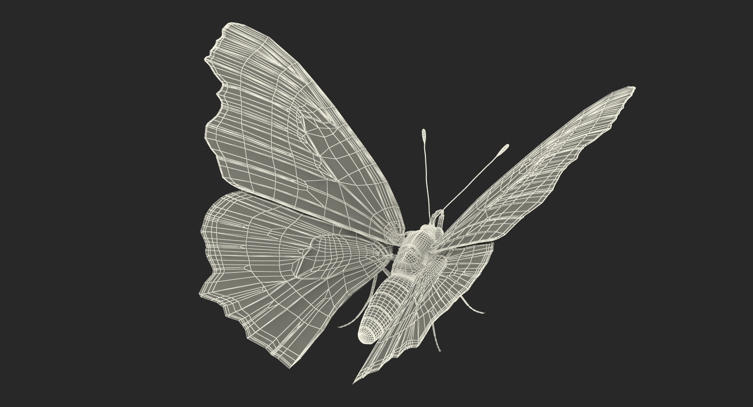Aglais io or European Peacock Butterfly 3D model
