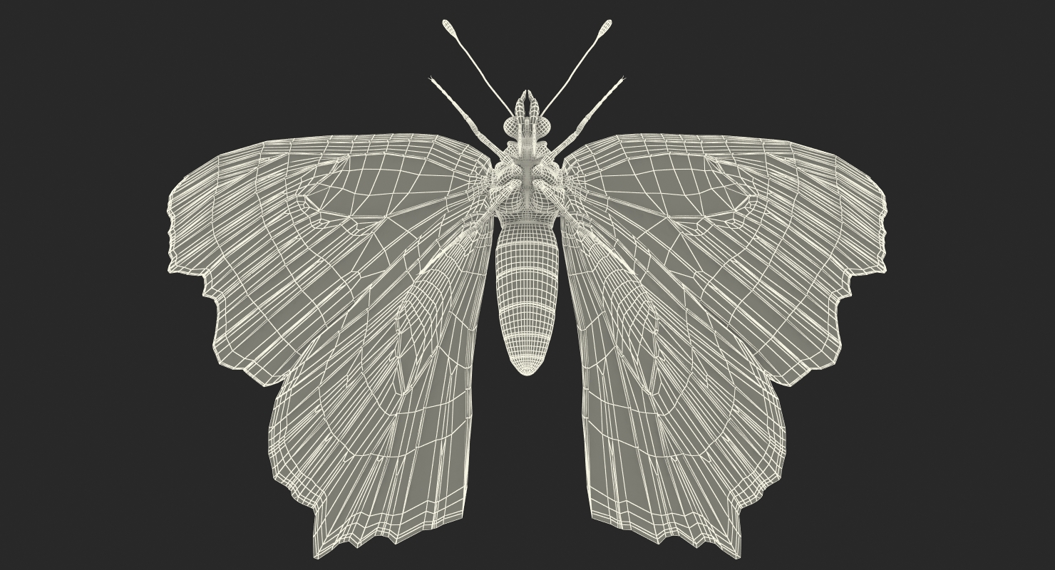Aglais io or European Peacock Butterfly 3D model