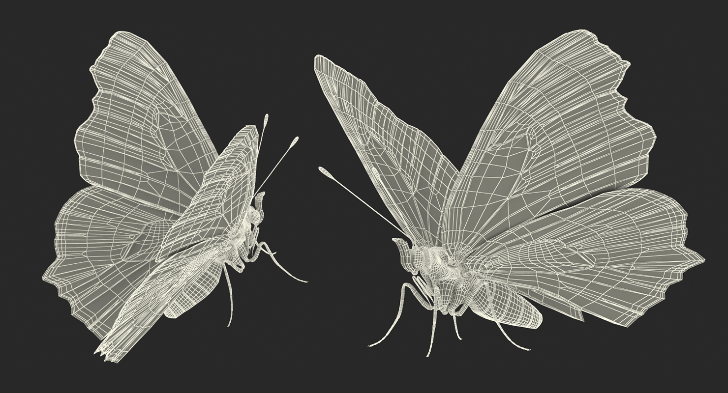 Aglais io or European Peacock Butterfly 3D model