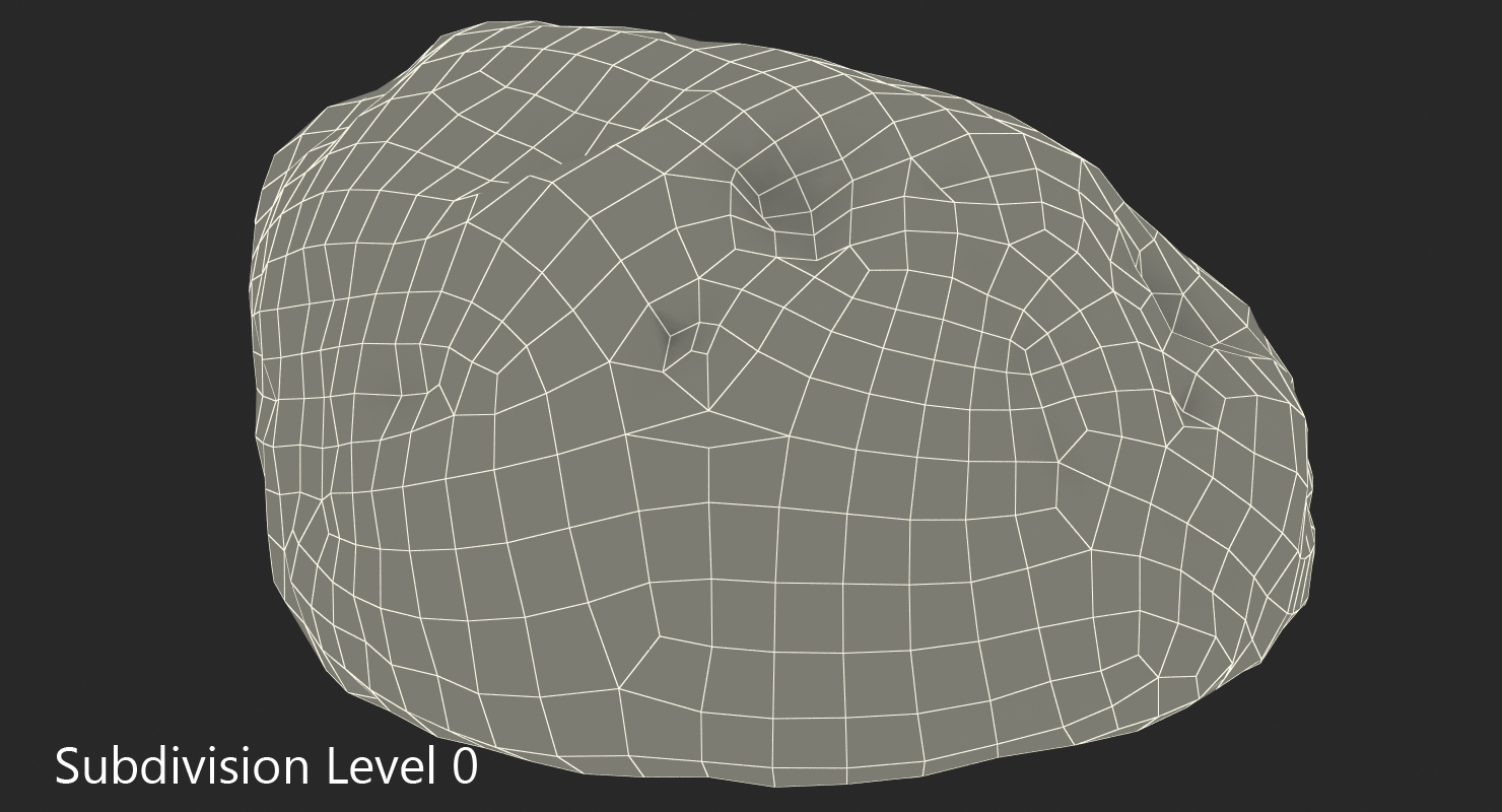 3D model Small Sea Rock with Holes