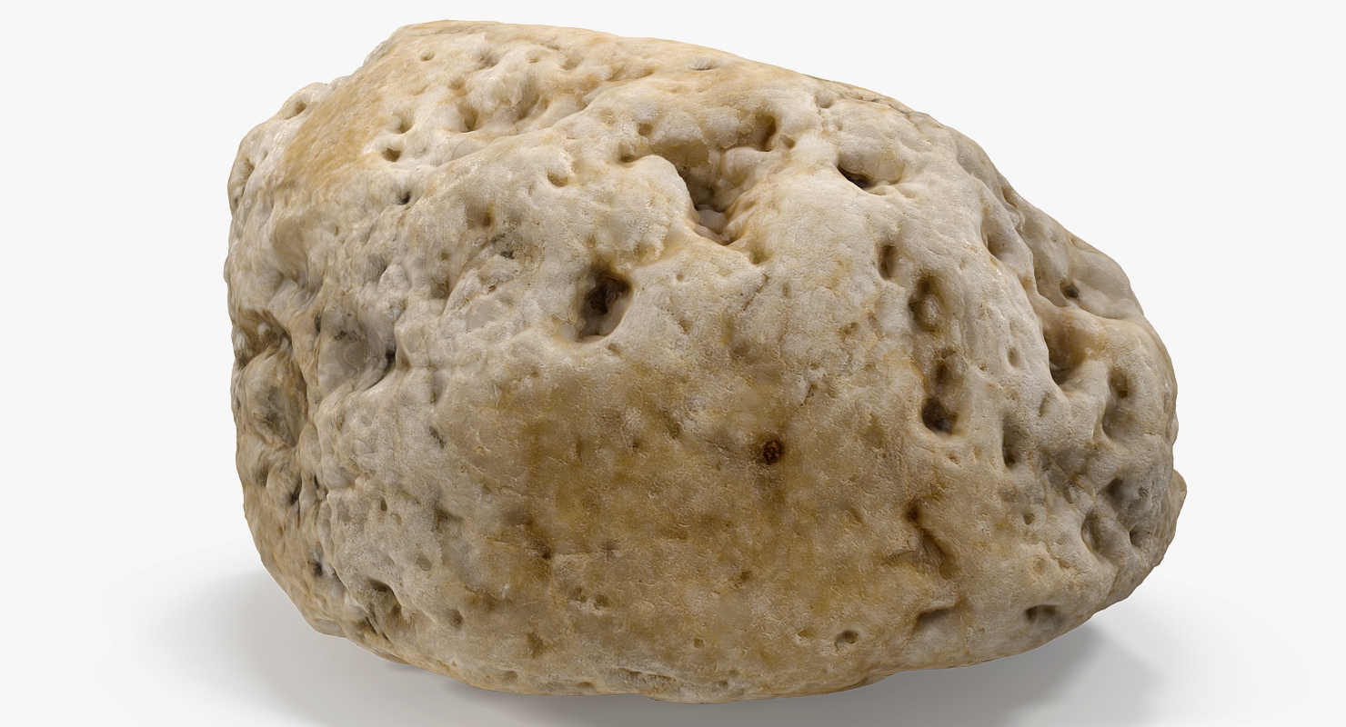3D model Small Sea Rock with Holes