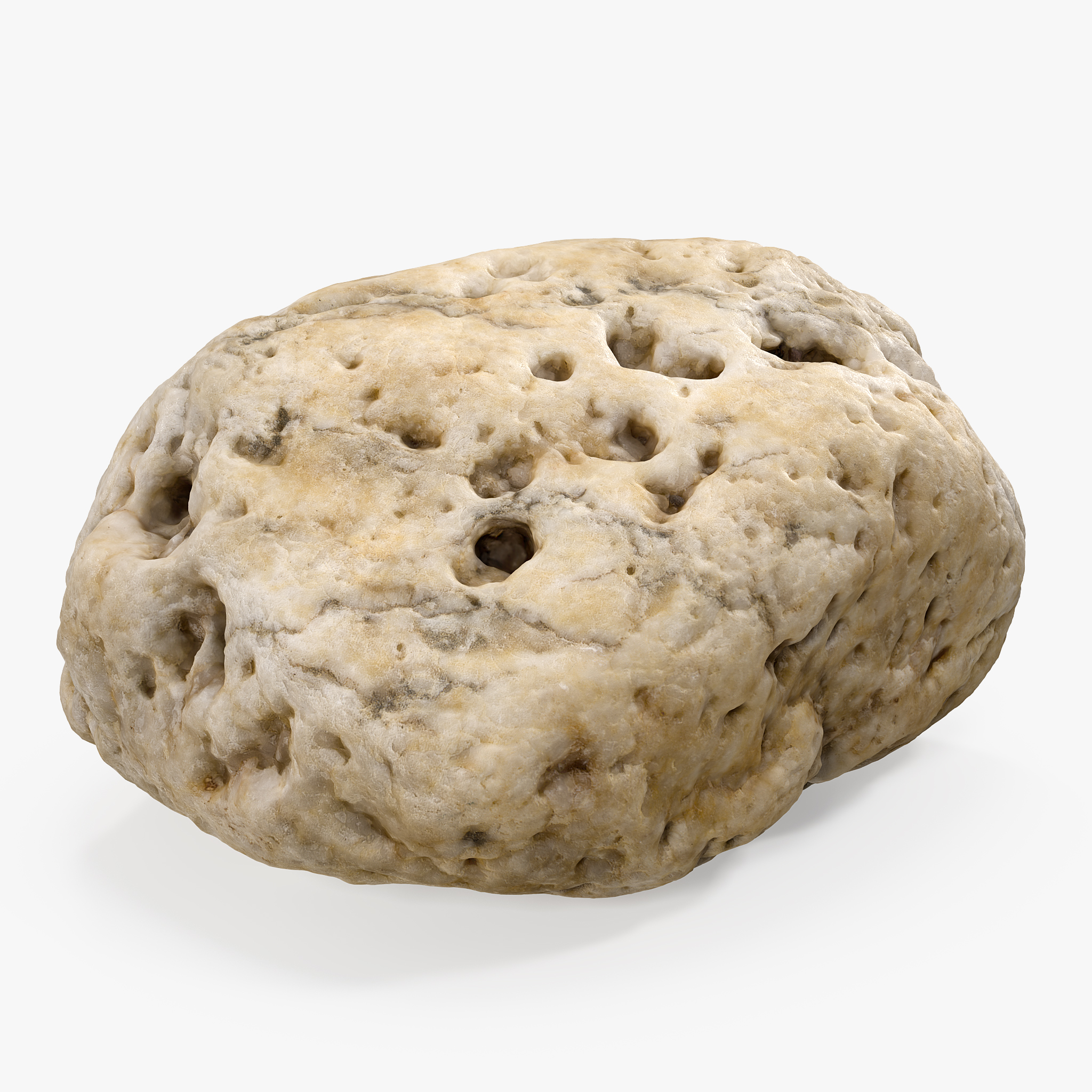 Small Sea Rock with Holes